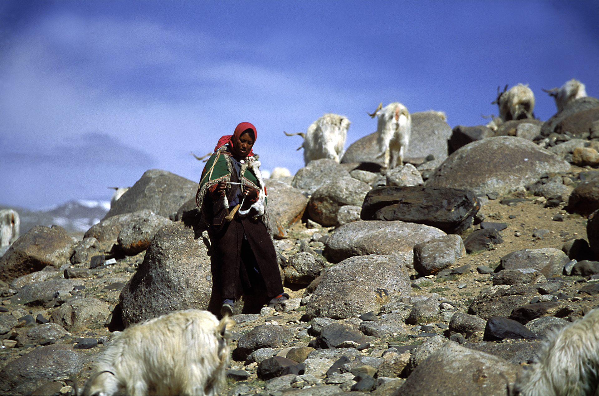 ladakh - reisefotografie
