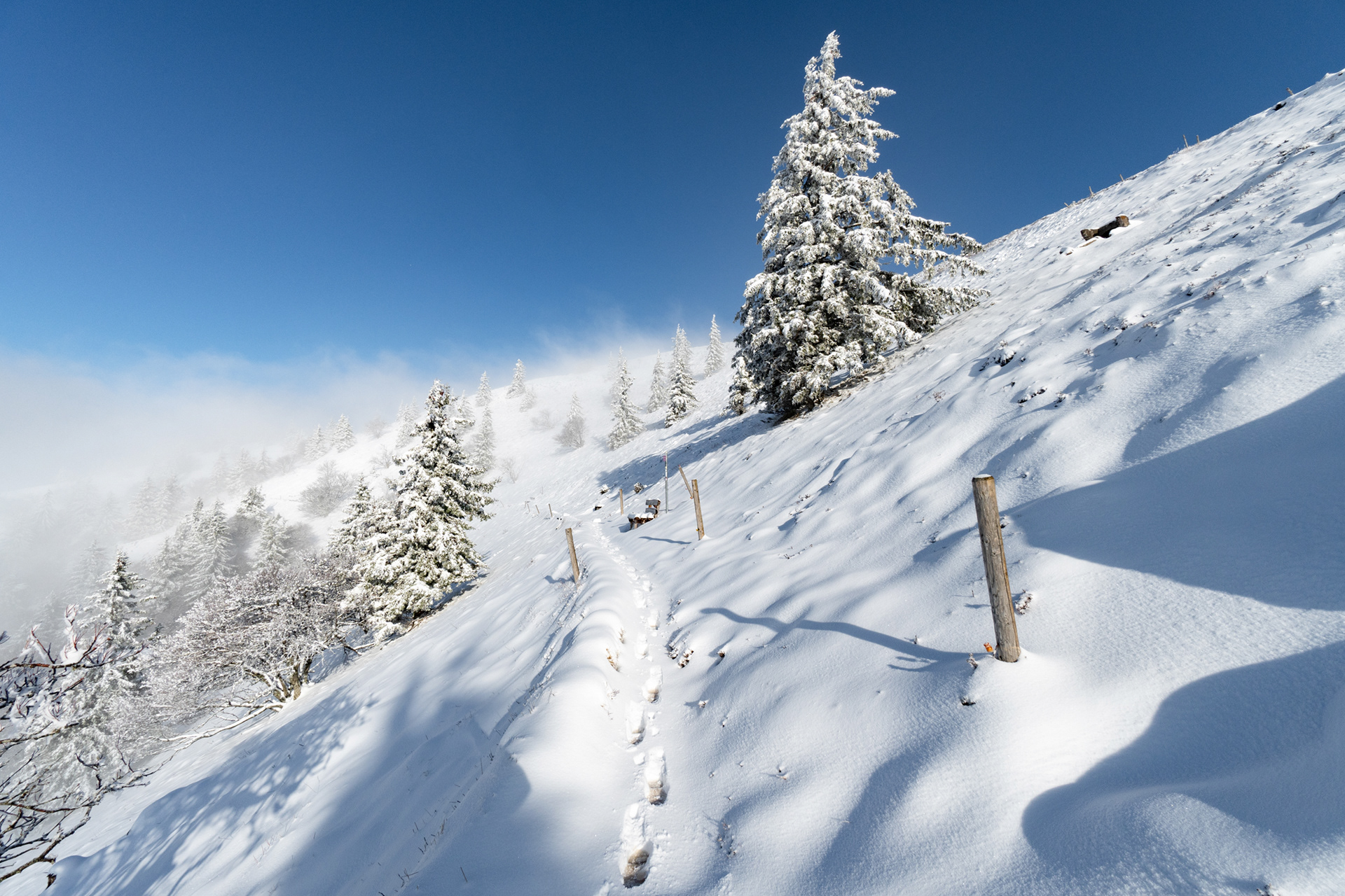 belchen - tourismus schwarzwald