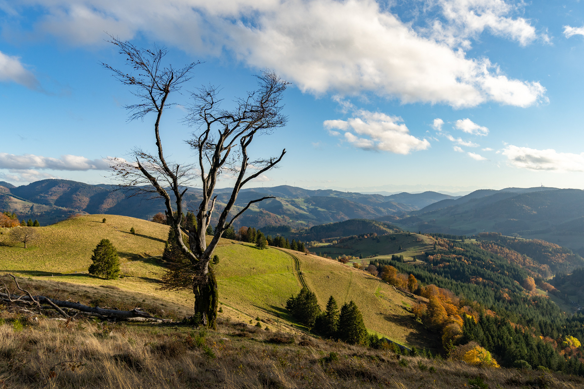 stuhlsebene - tourismus schwarzwald