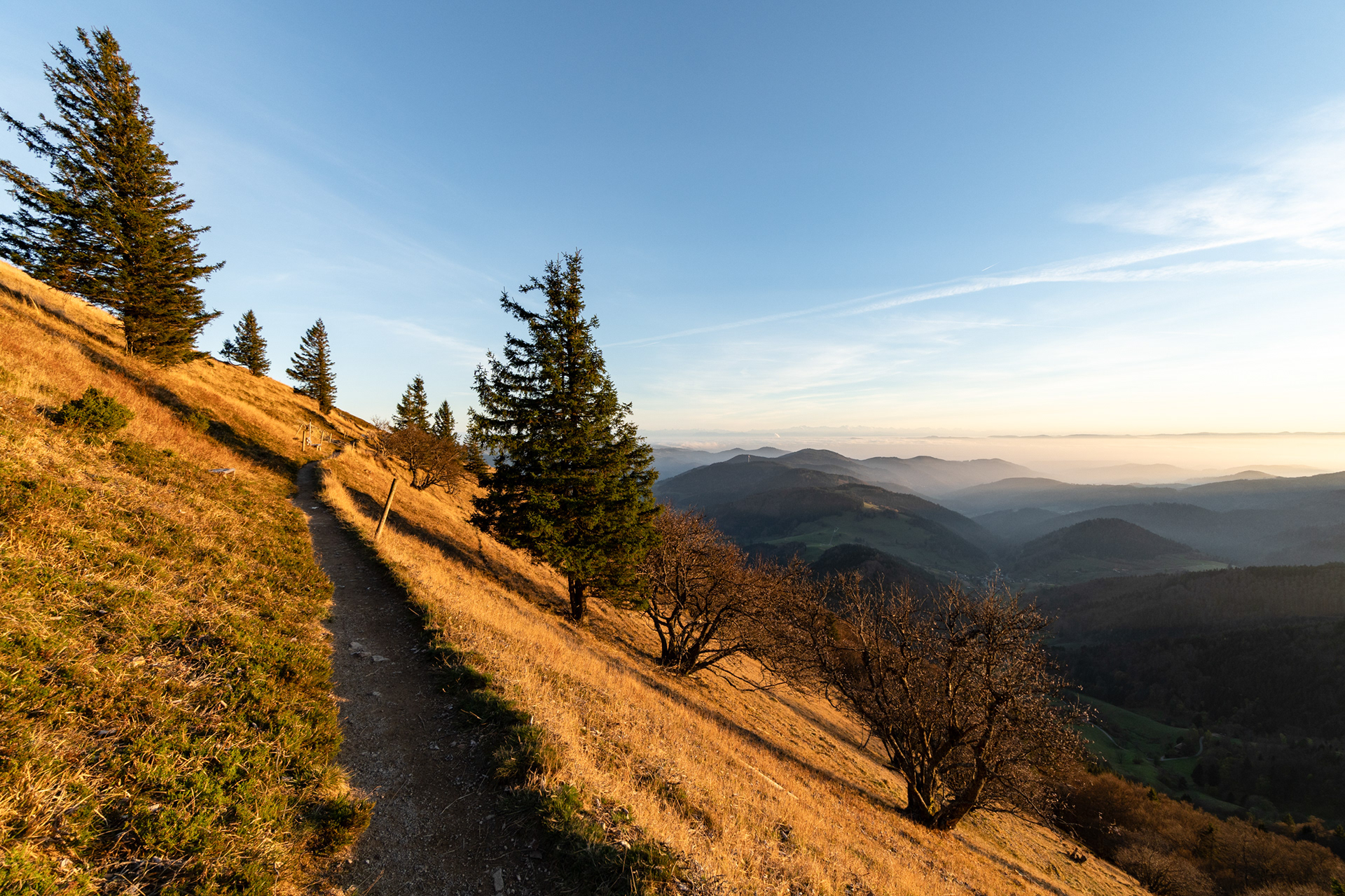 belchen - tourismus schwarzwald
