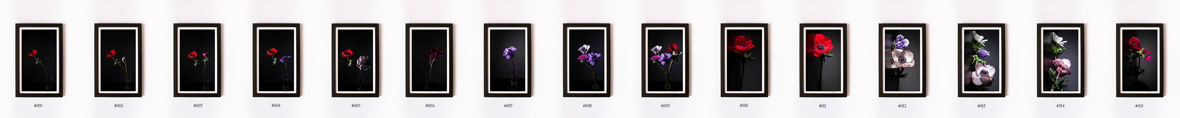 art prints available