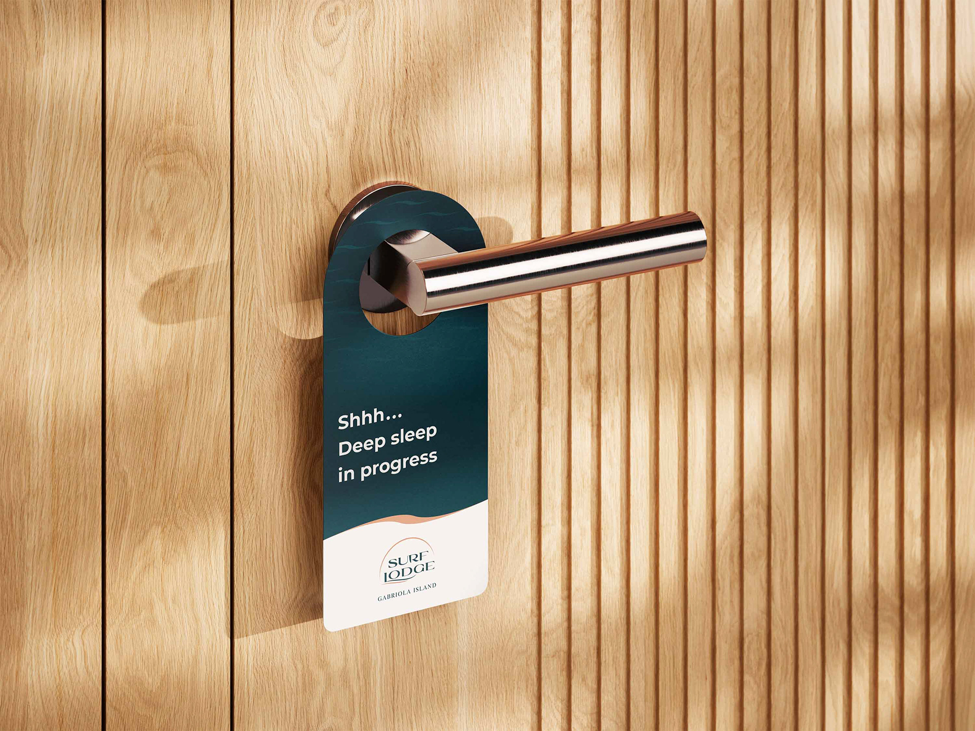 Do Not Disturb Sign
