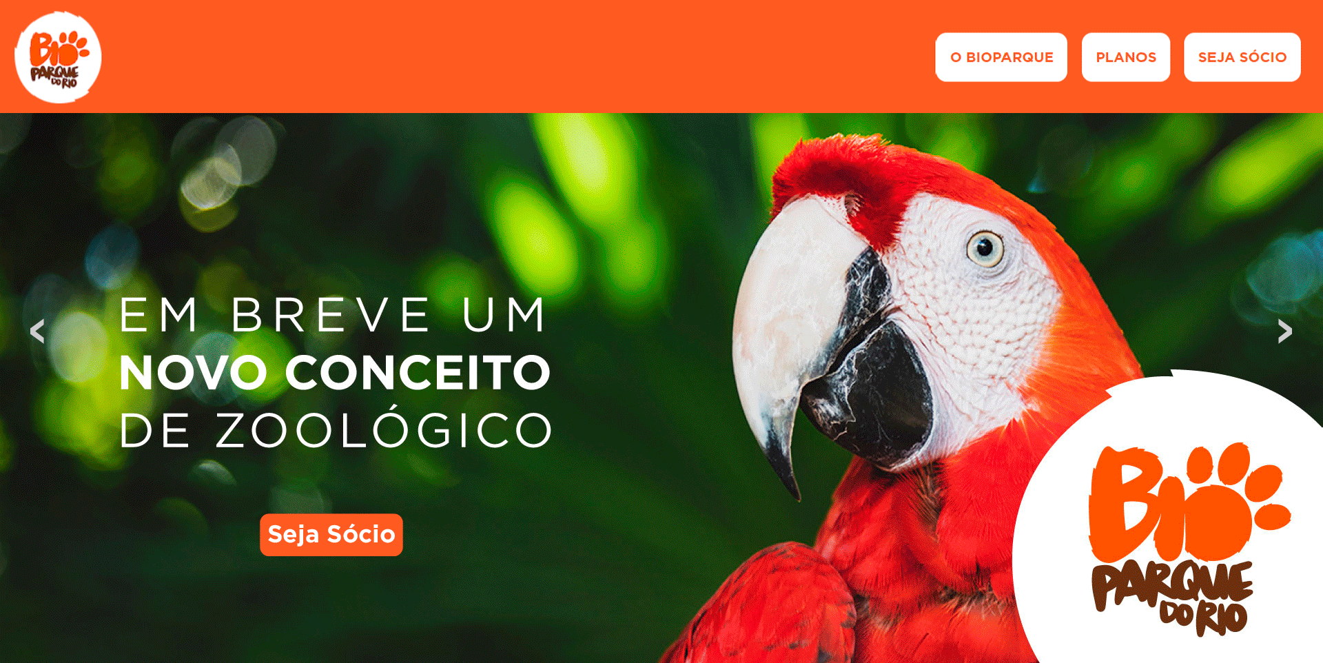 Header - Cabeçalho