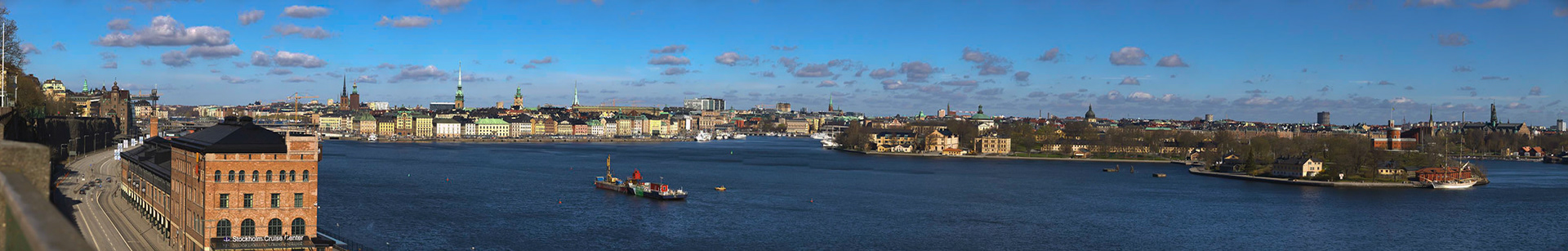 Stockholm Fjällgatan 361x58 cm