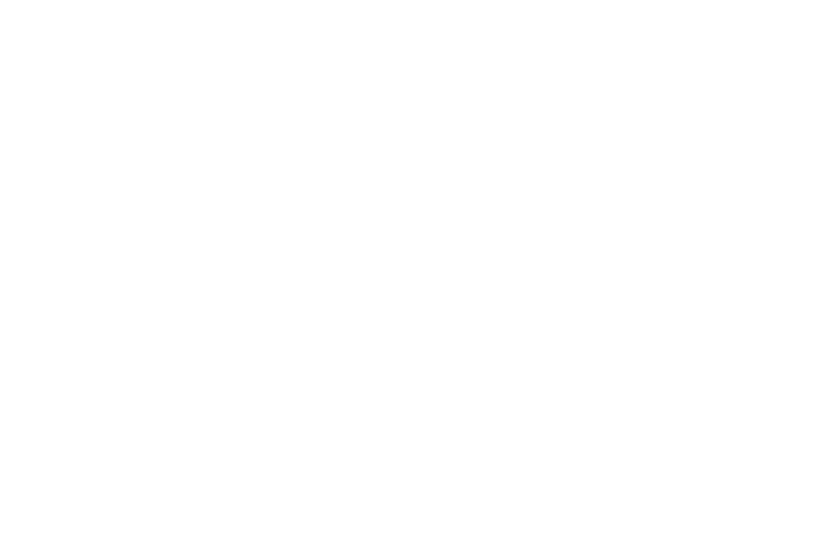 Roberto Borgen