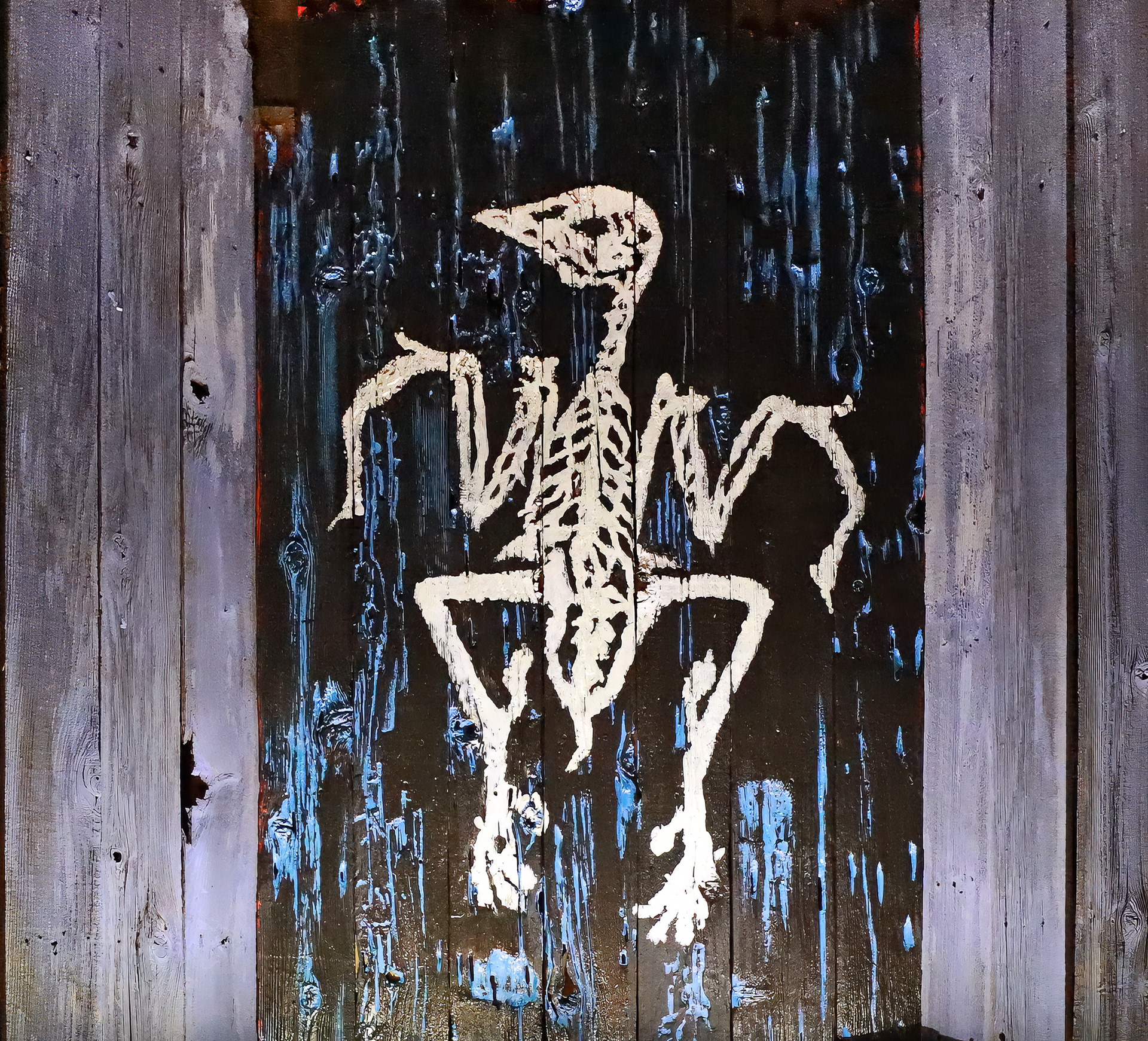 4 of 5 fossil collection