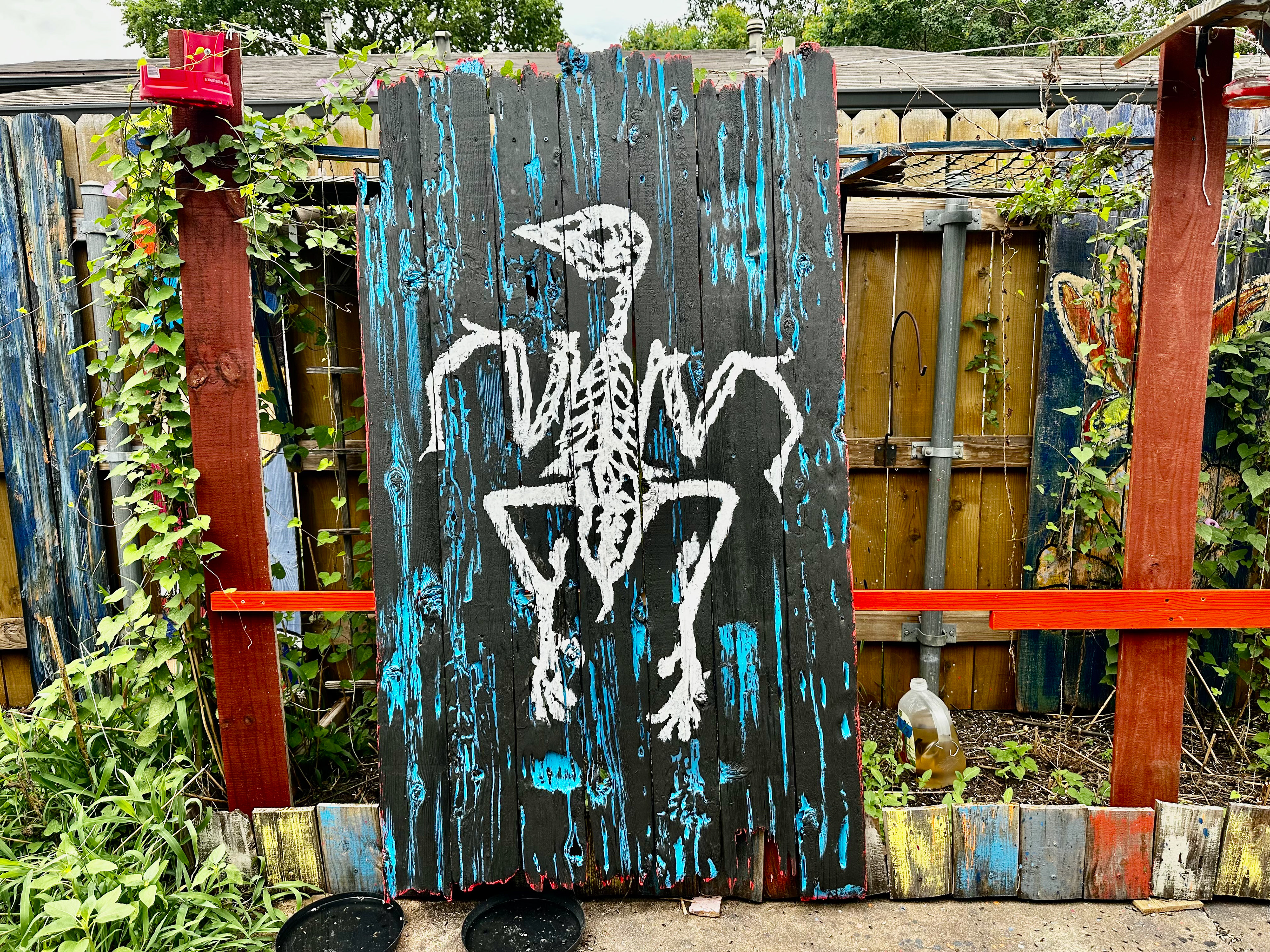 Fossil & Decay project