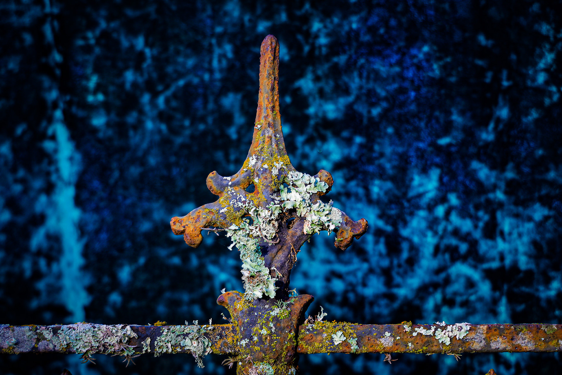 blue crush velvet backdrop