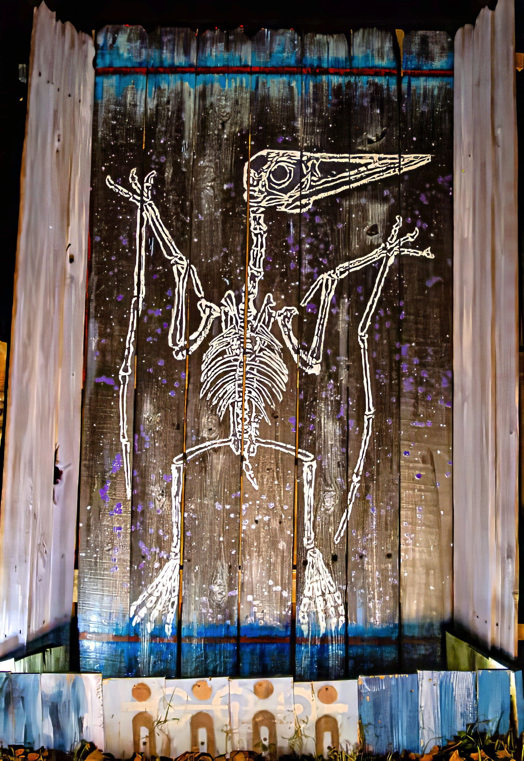 1 of 5 night time setupfossil collection