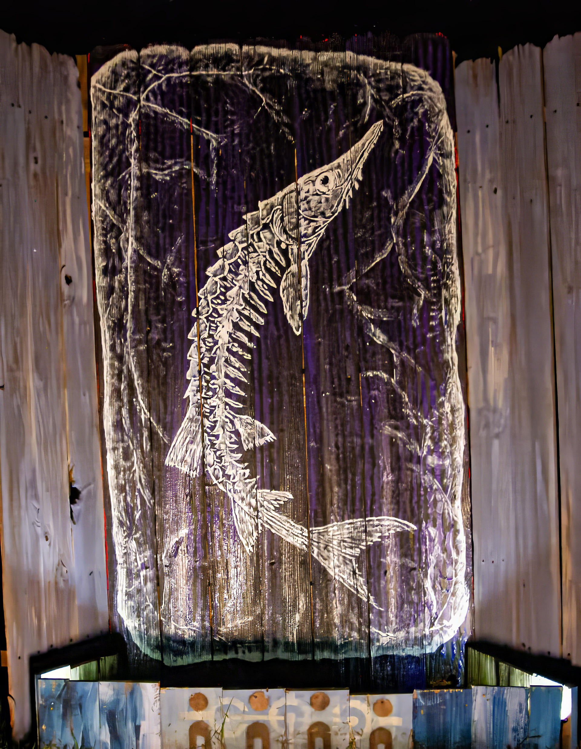 2 of 5 fossil collection