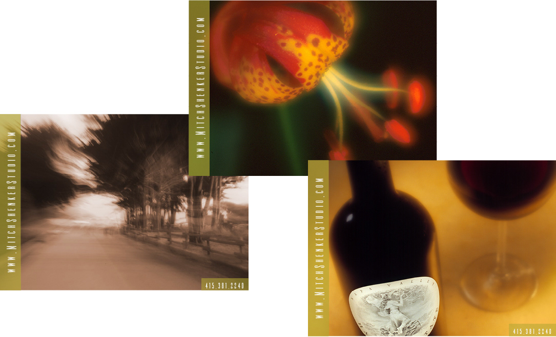 MITCHELL SHENKER STUDIO | Website Launch Self-Promotion