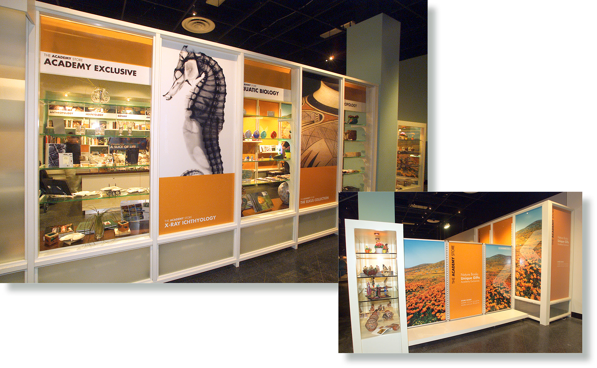 CALIFORNIA ACADEMY OF SCIENCES | The Academy Store Signage