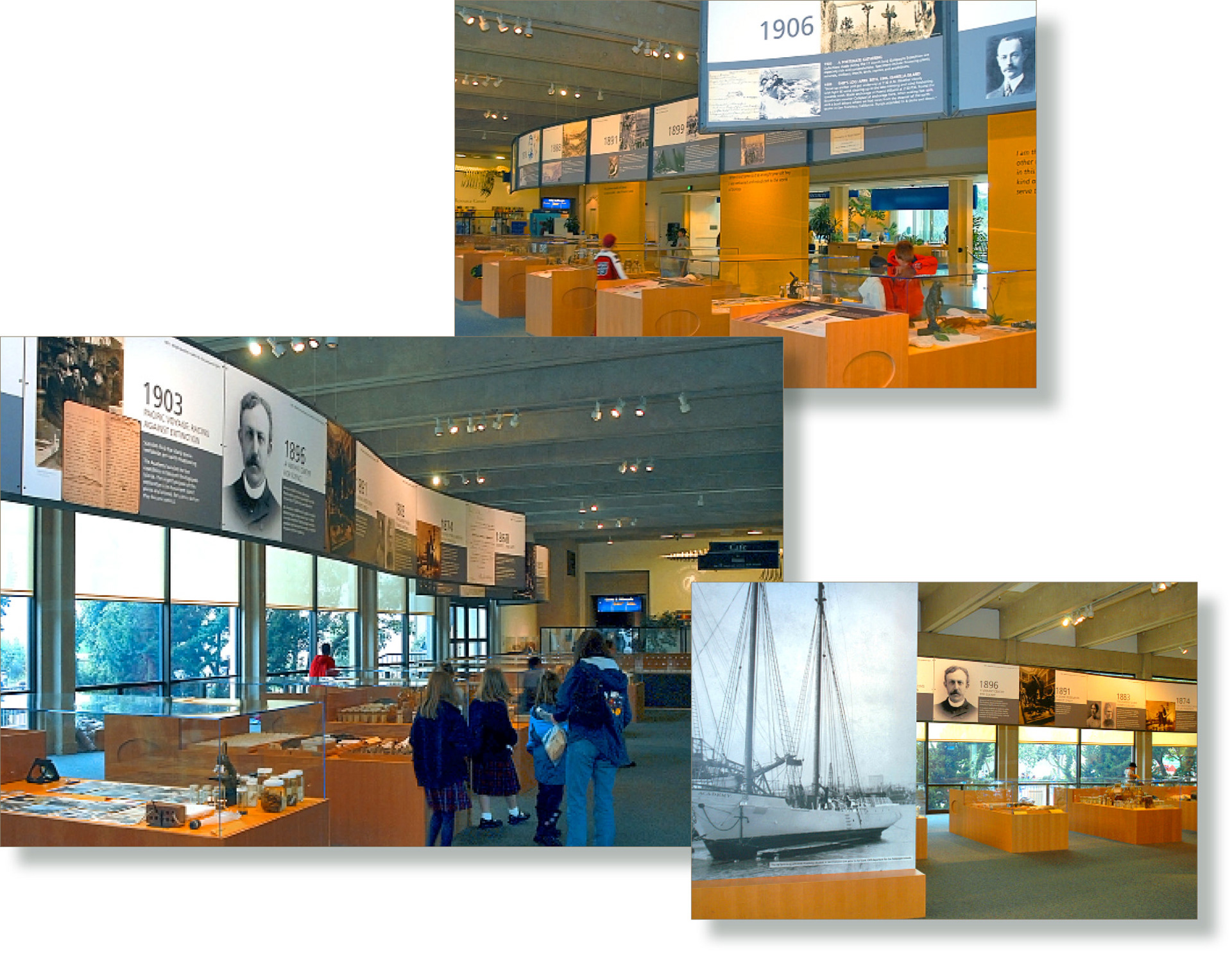 California Academy of Sciences | 150th Anniversary Exhibit