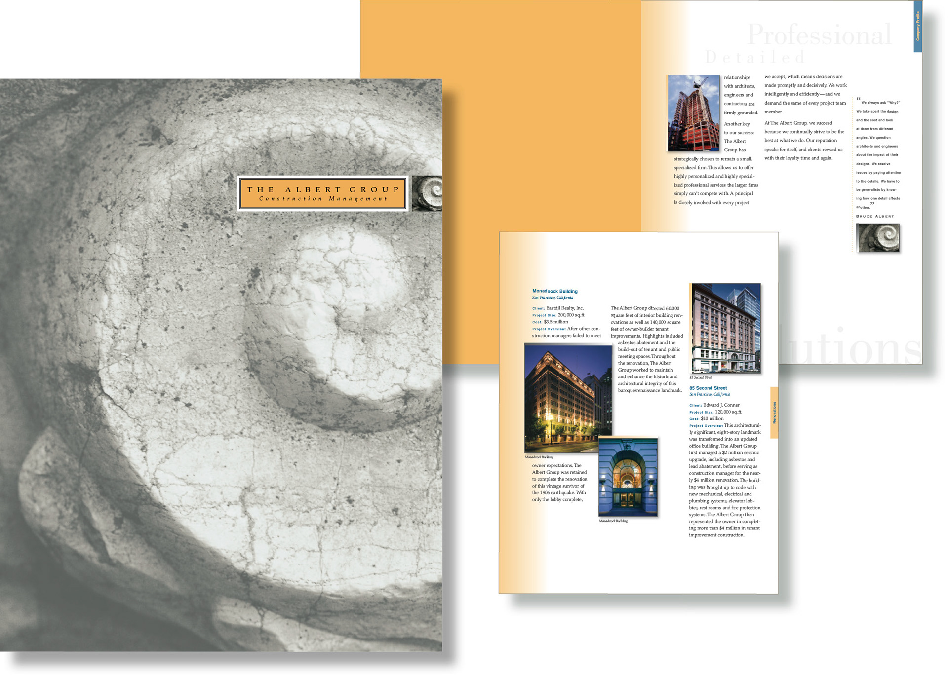THE ALBERT GROUP | Capabilities Brochure