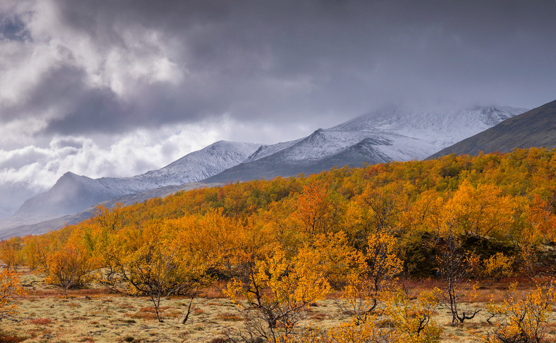 An Autumn snowstorm ripes through the Rondane national park as seen from Dørålen
