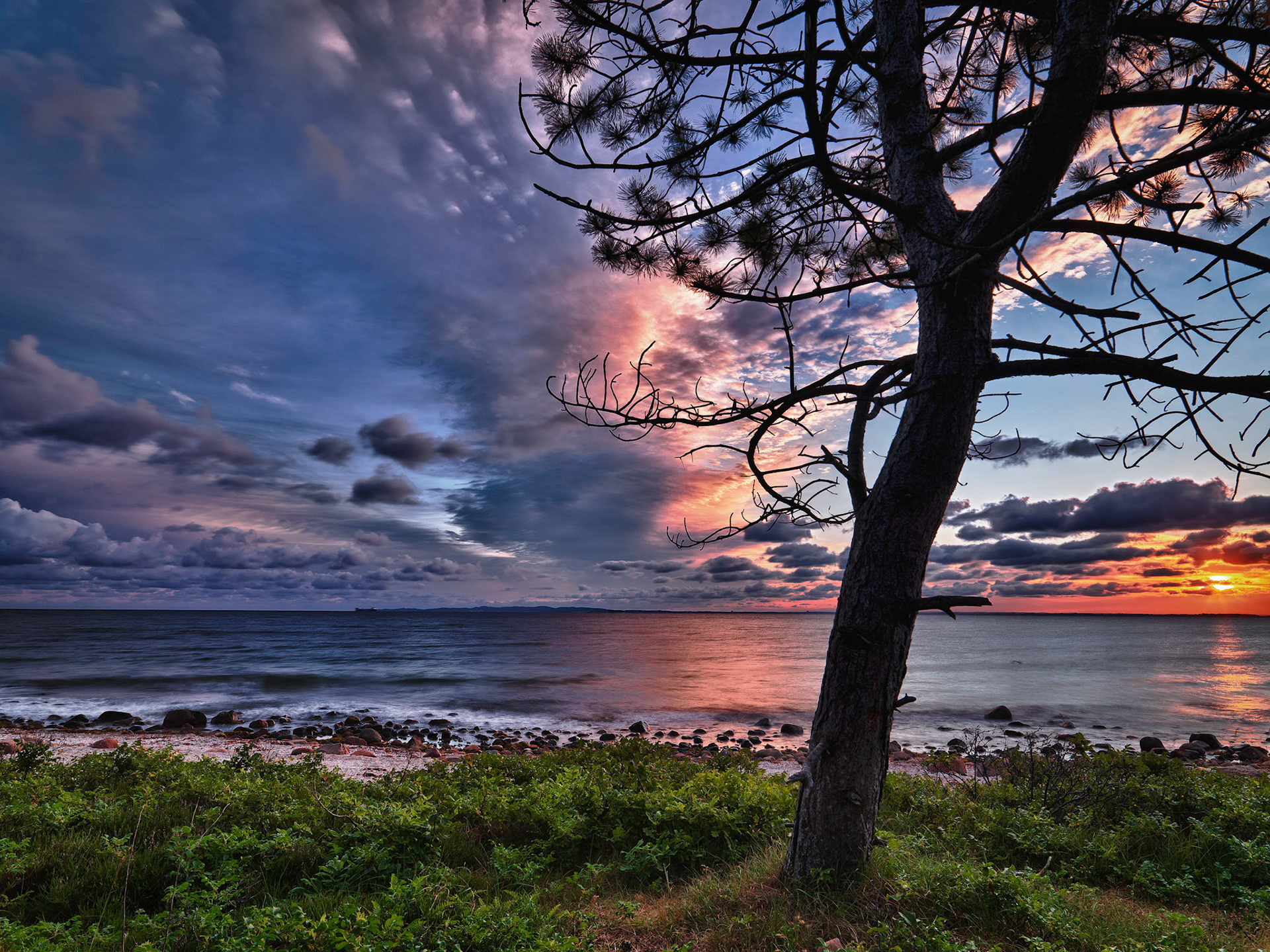 Hornbaek Plantage, Sjaelland Denmark