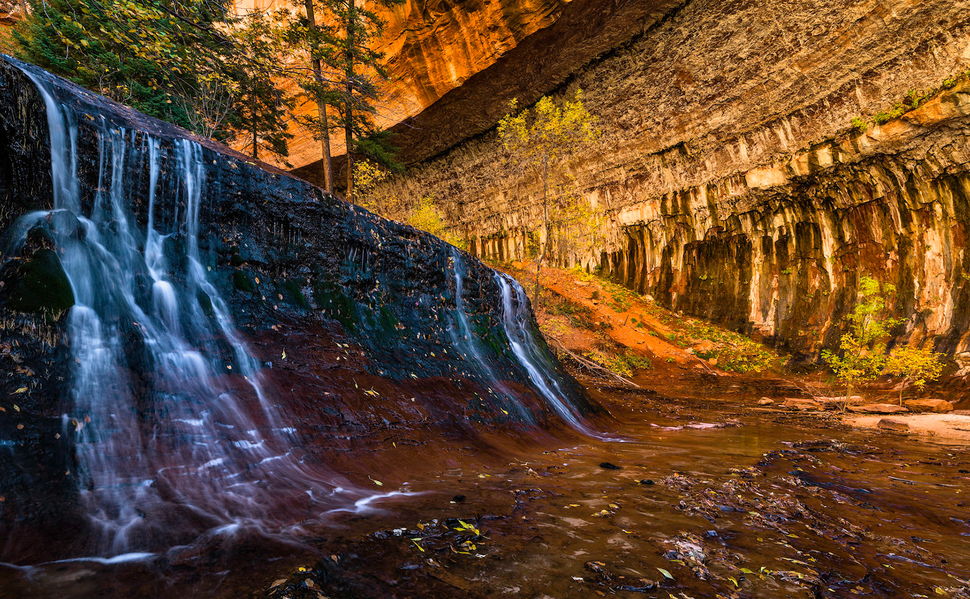 Beautiful autumn walk up the Virgin River, Left Fork on our way to the Subway. A very strneous walk with 15 kg kamera and large tripod, but well worth the effort once there. The toughest is the climb back up :-)