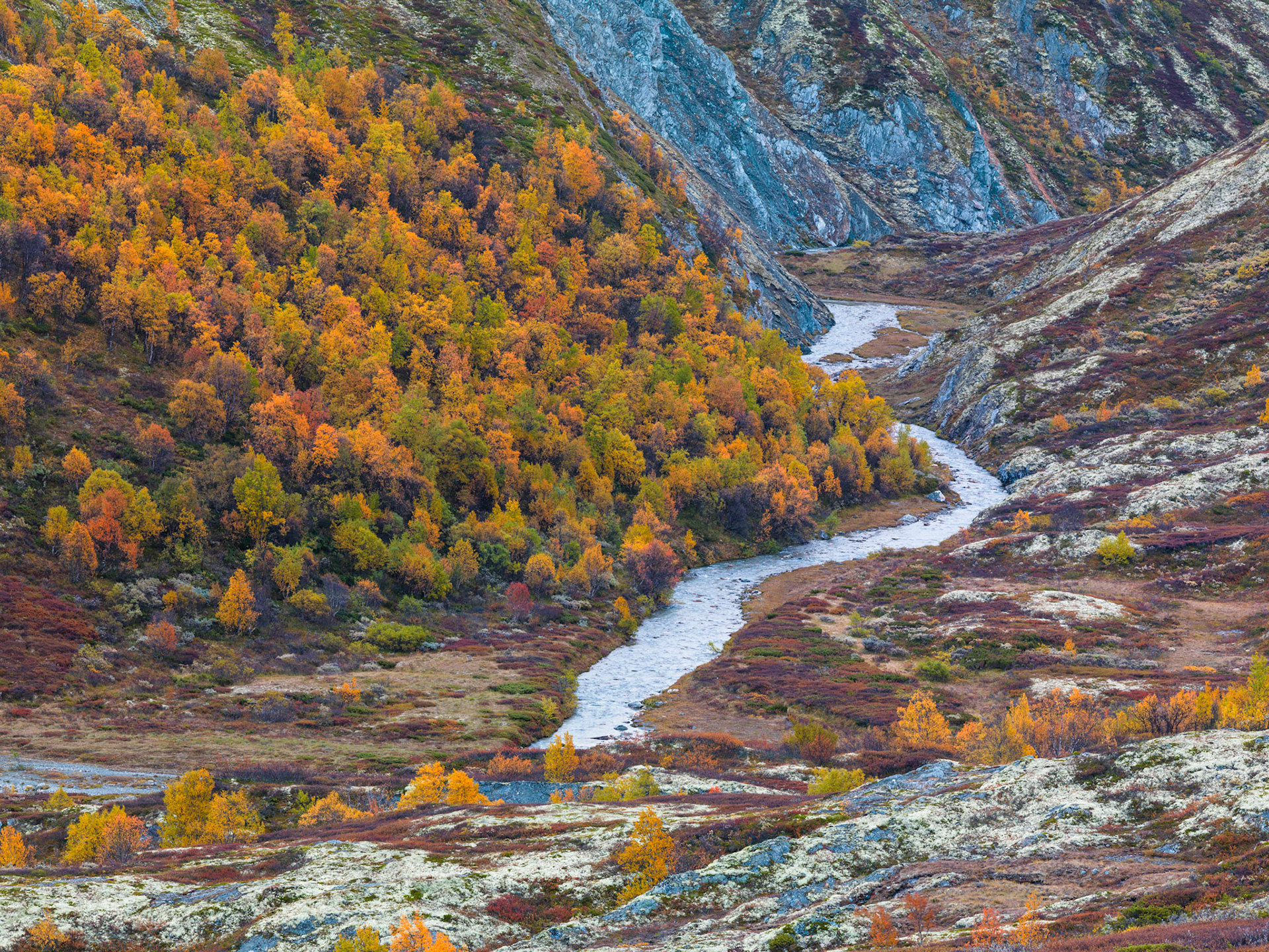 Verkesbakken, Grimsdalen, Rondane - Norway. Autumn colors 2013