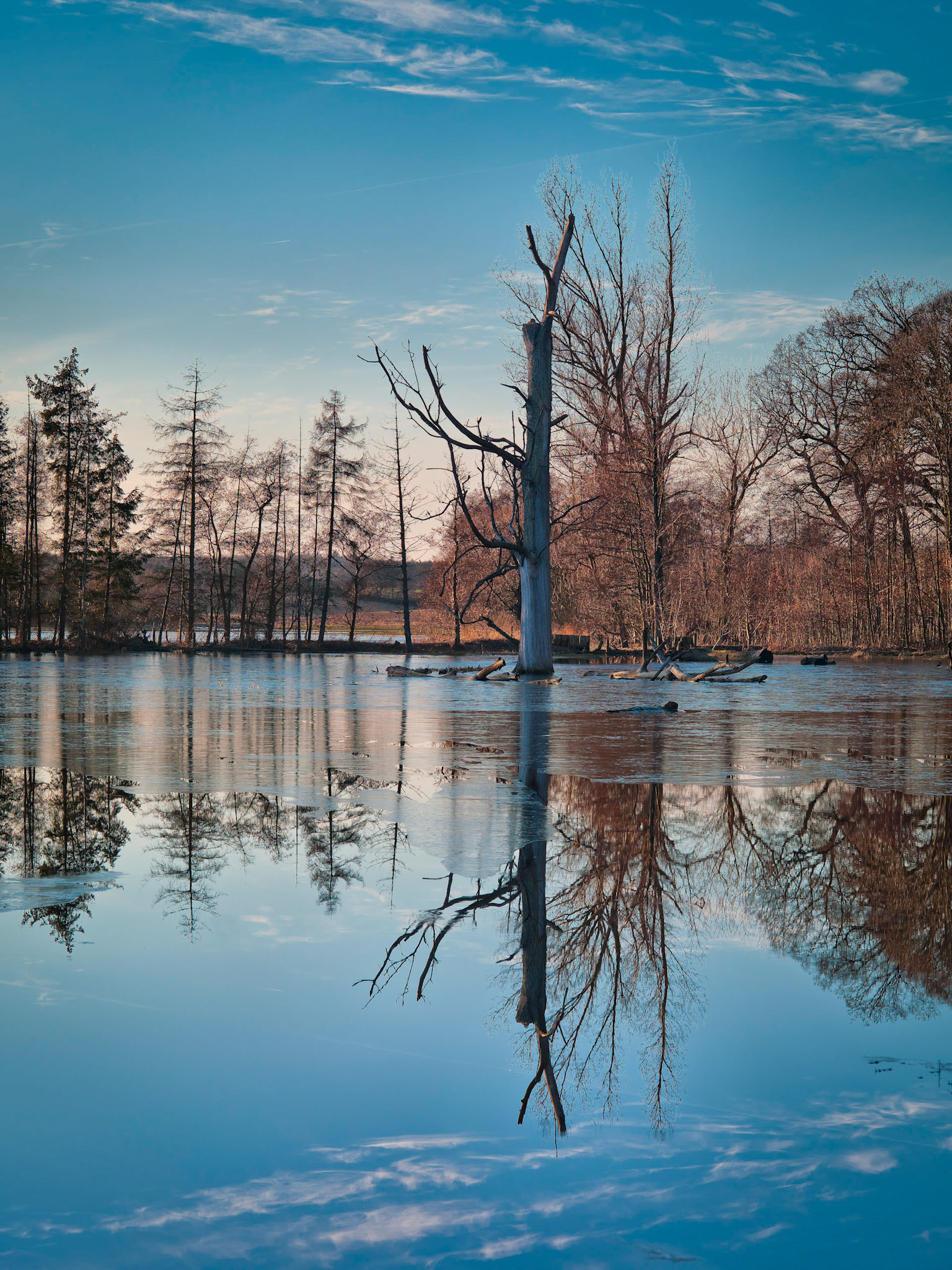 Vinter at Køge Ås #1
