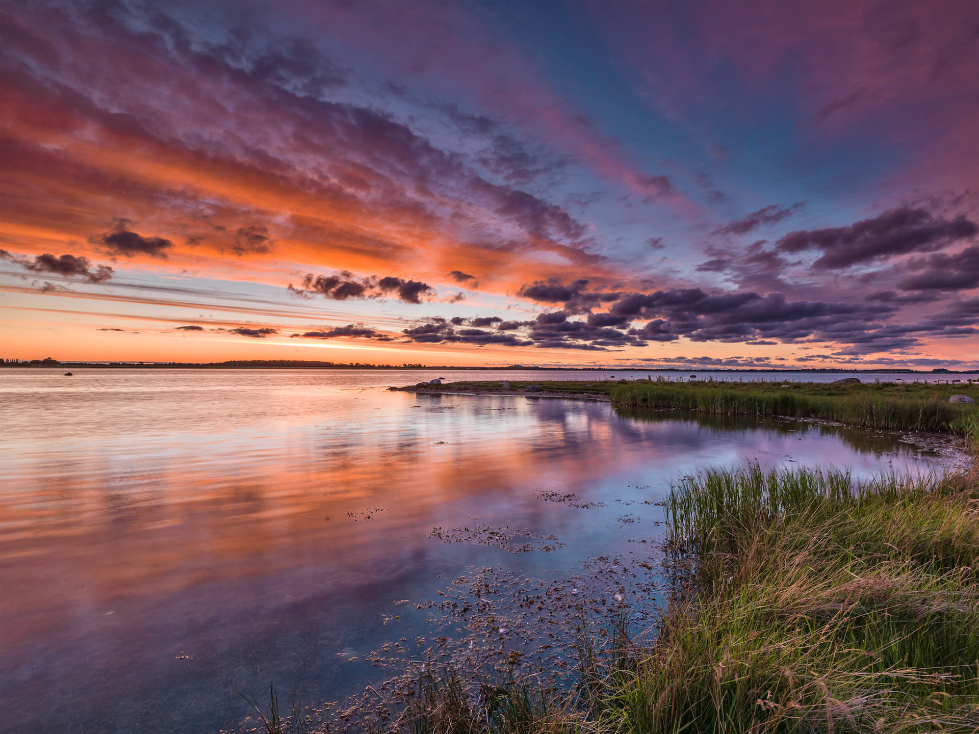 From an early morning visit to Skejten, landscape area which stood model to large paintings in the Danish Parliament of strong and steasdfast Oak Trees.