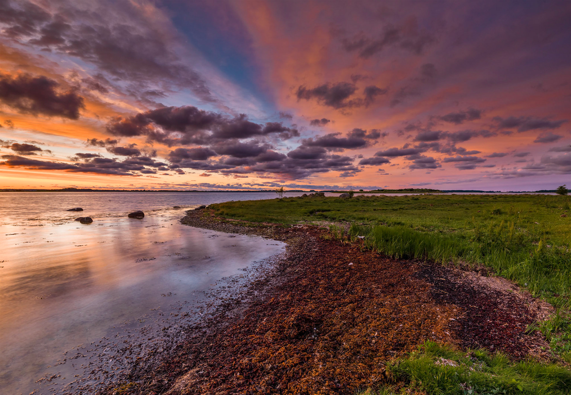 From an early morning visit to Skejten, landscape area which stood model to large paintings in the Danish Parliament of strong and steasdfast Oak Trees.