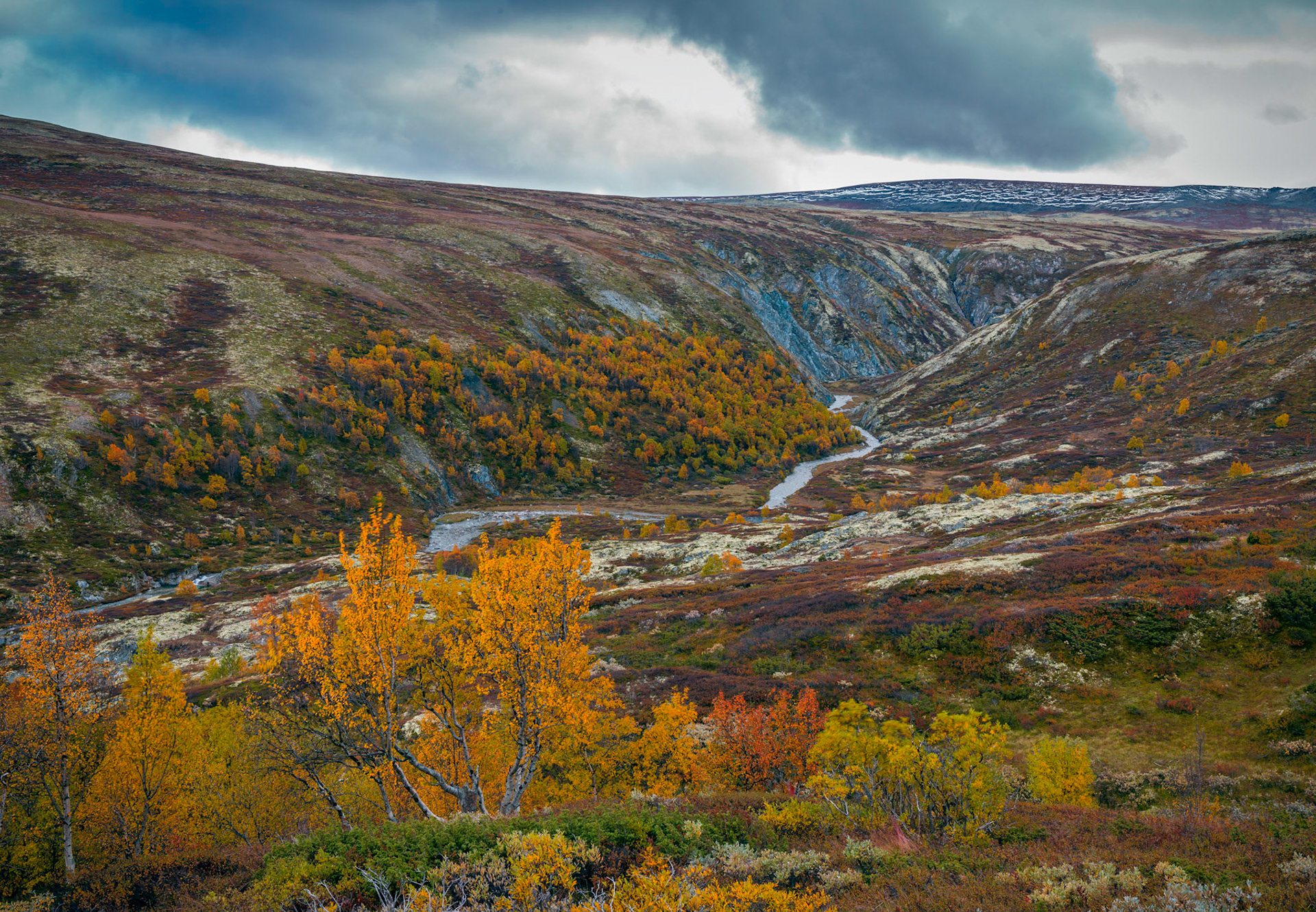 Verkesbakken, Grimsdalen, Rondane - Norway. Autumn colors 2013