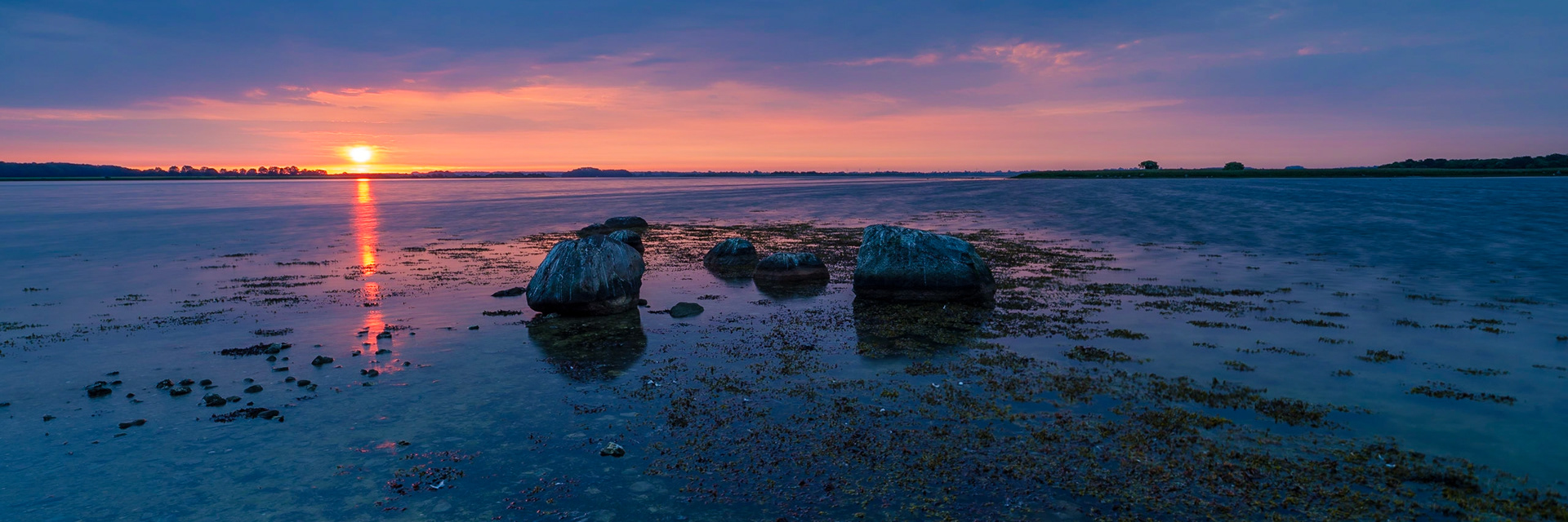 Enjoying the wide view.