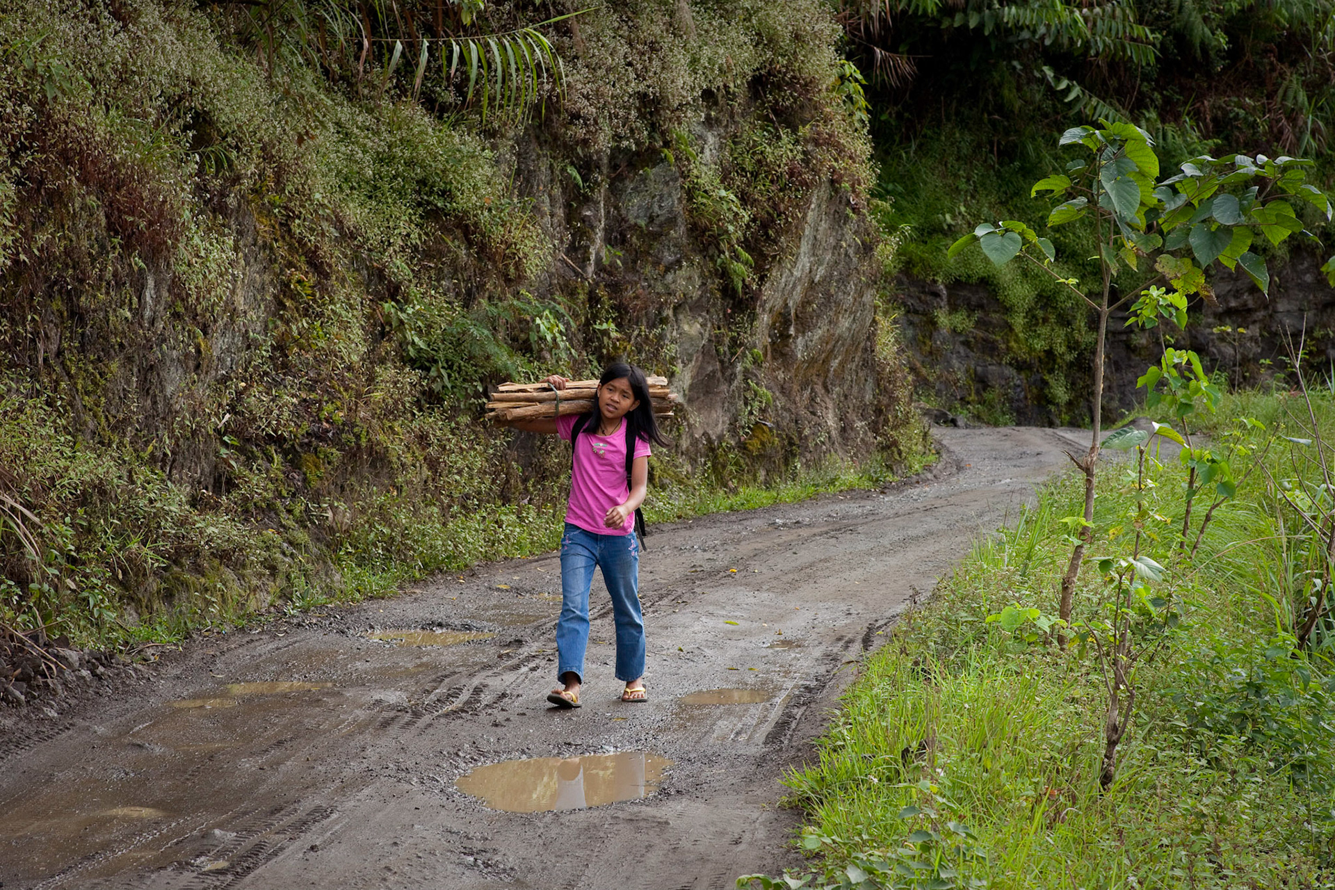 Bring Your Own Firewood to School