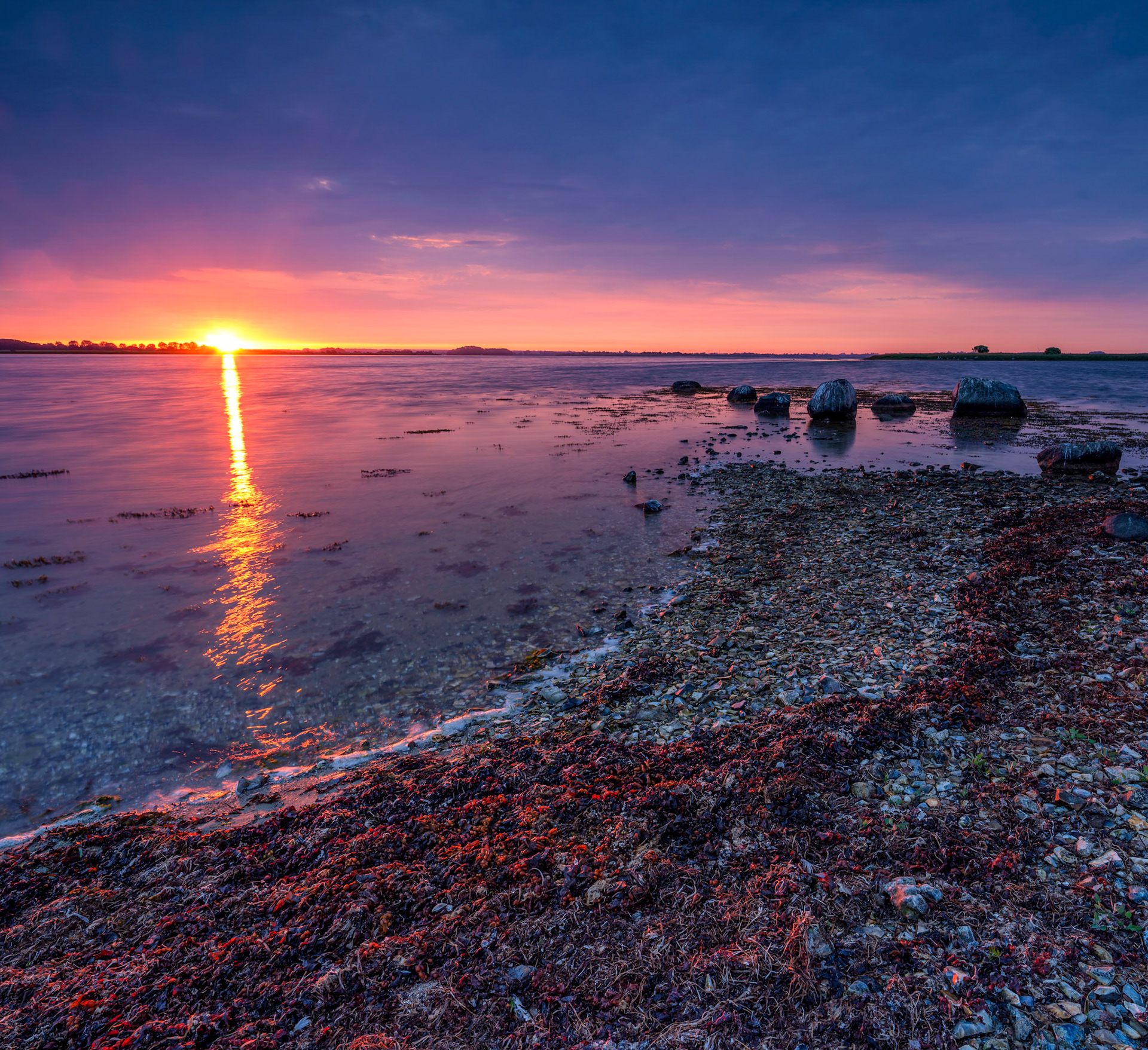 Strong reflection of the early sunrays in the Seaweed.
