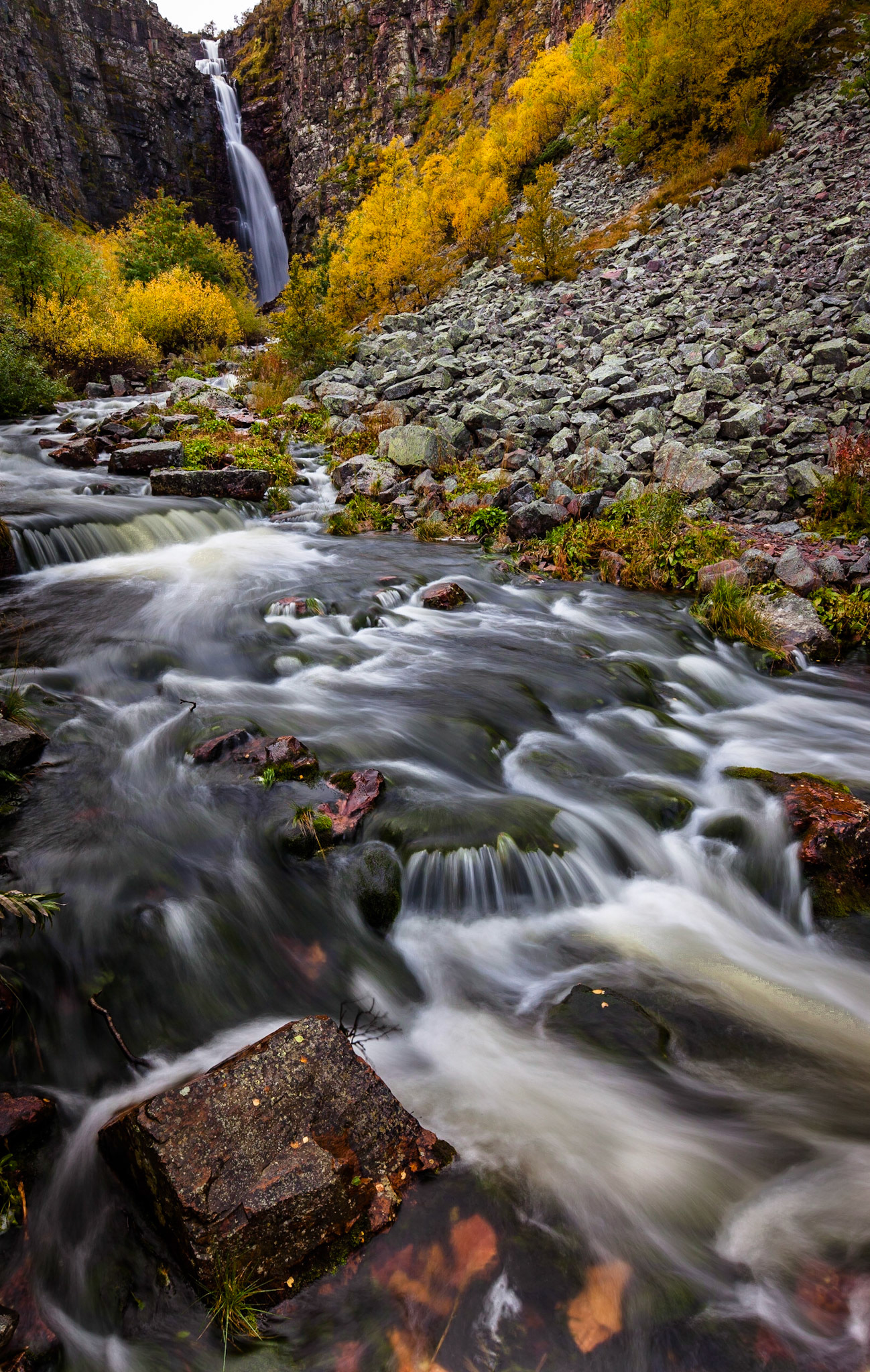 Autumn colors at Njupskaer, Sweden