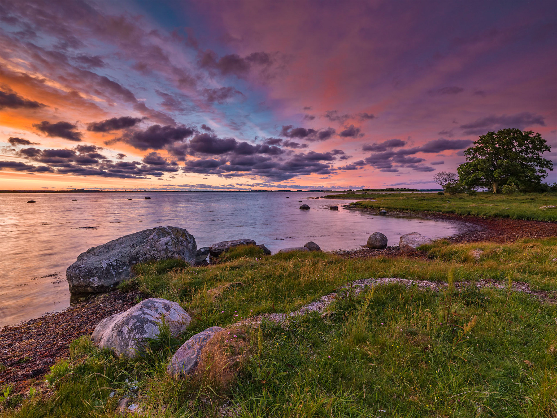 From an early morning visit to Skejten, landscape area which stood model to large paintings in the Danish Parliament of strong and steasdfast Oak Trees.