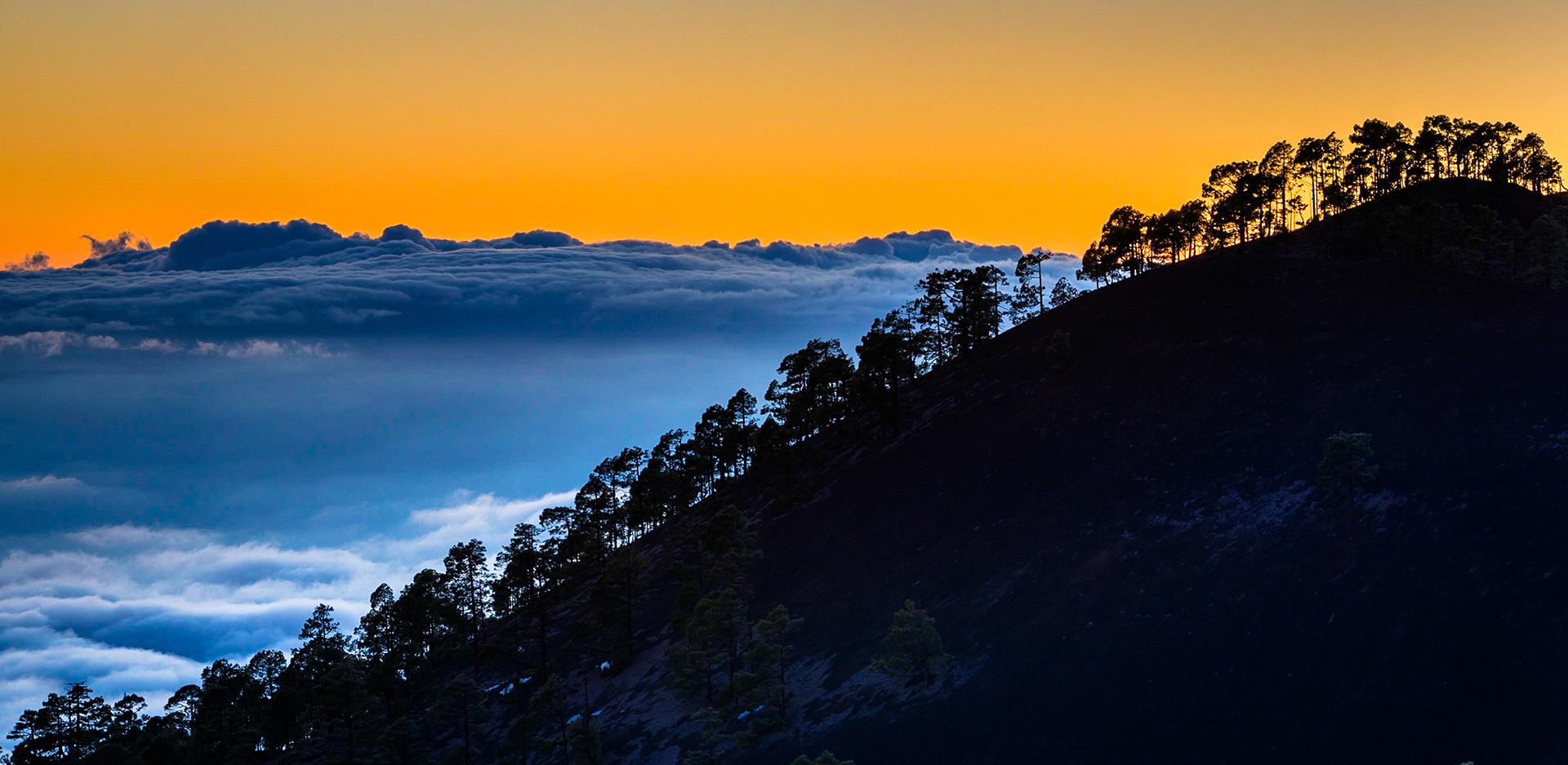 Sunset as seen from Teide at the level of Corona Forestal