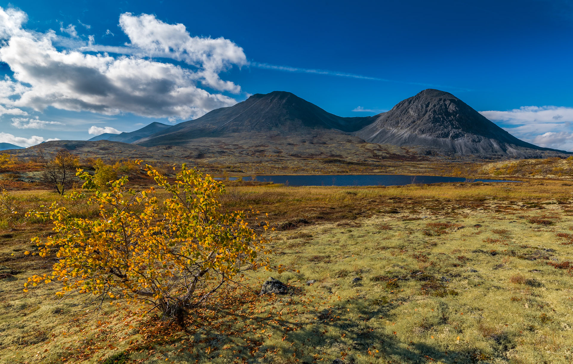 Autumn in Dørådalen #2-2016, Norway