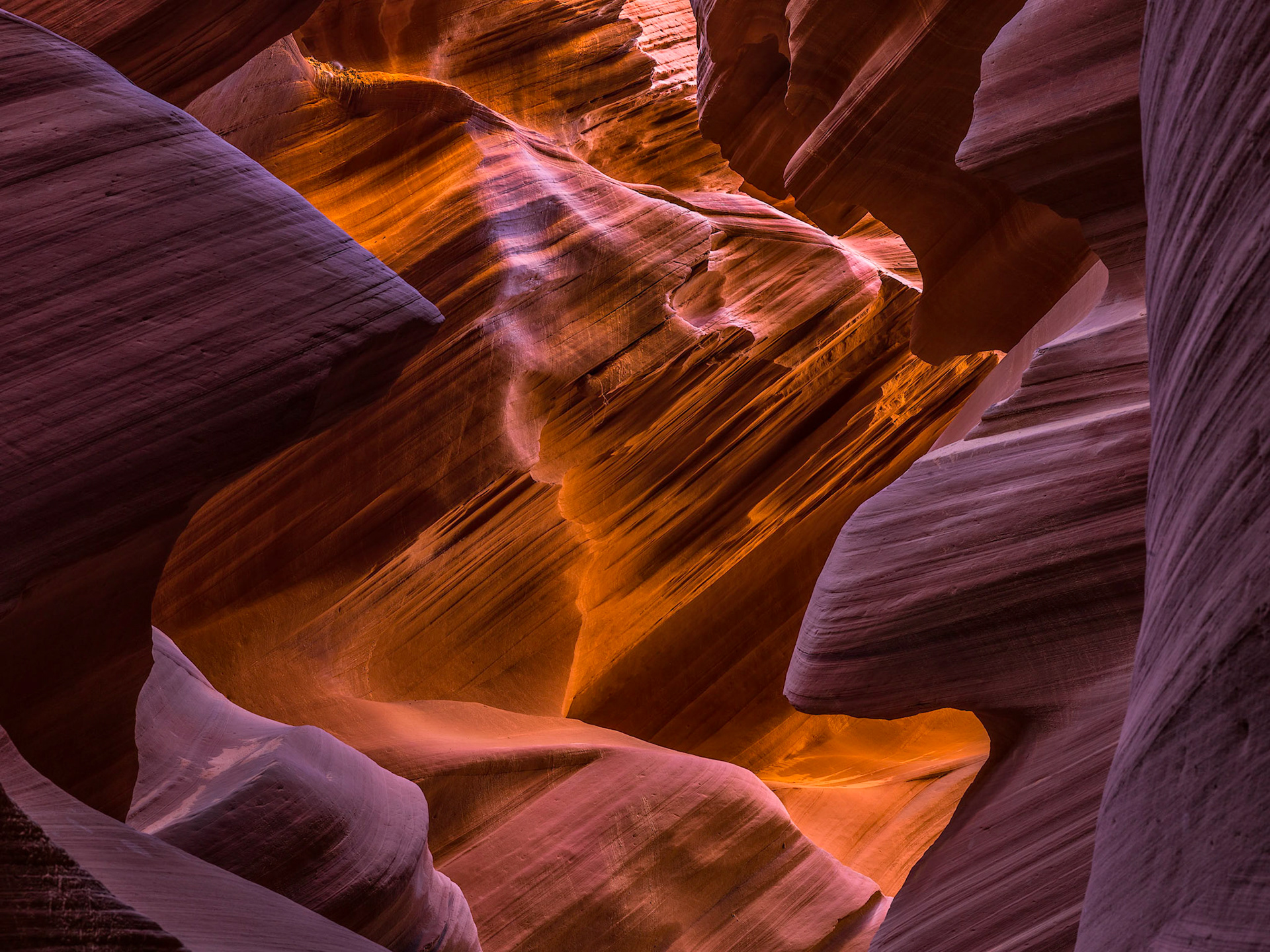 Antelope in itself is quite an amazing place - but to see a bird building it's nest right in the canyou on an upper shelf, proves to me the bird knows a lot about "house-decoratiopns" can't think of a prettier place to raise the young ones! (the bird's nest is in upper right corner)