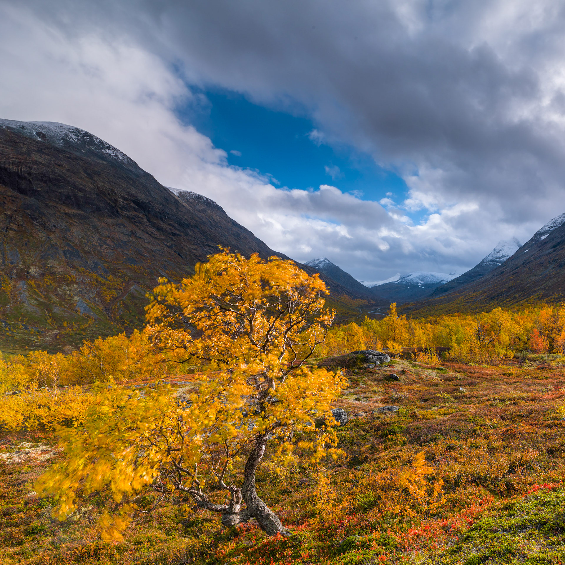 Windy autumn afternoon in Leirdalen, Jotunheimen (perhaps it is the Stetinden in background?)- 2013