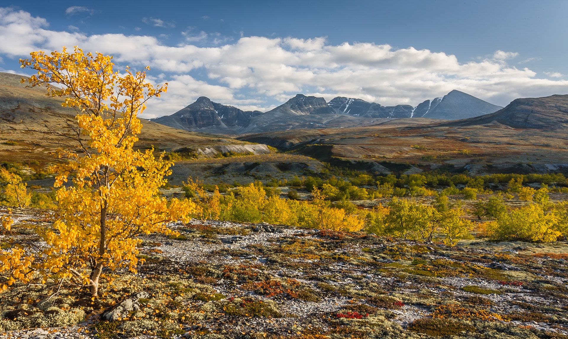 Autumn in the mountains of Rondane.