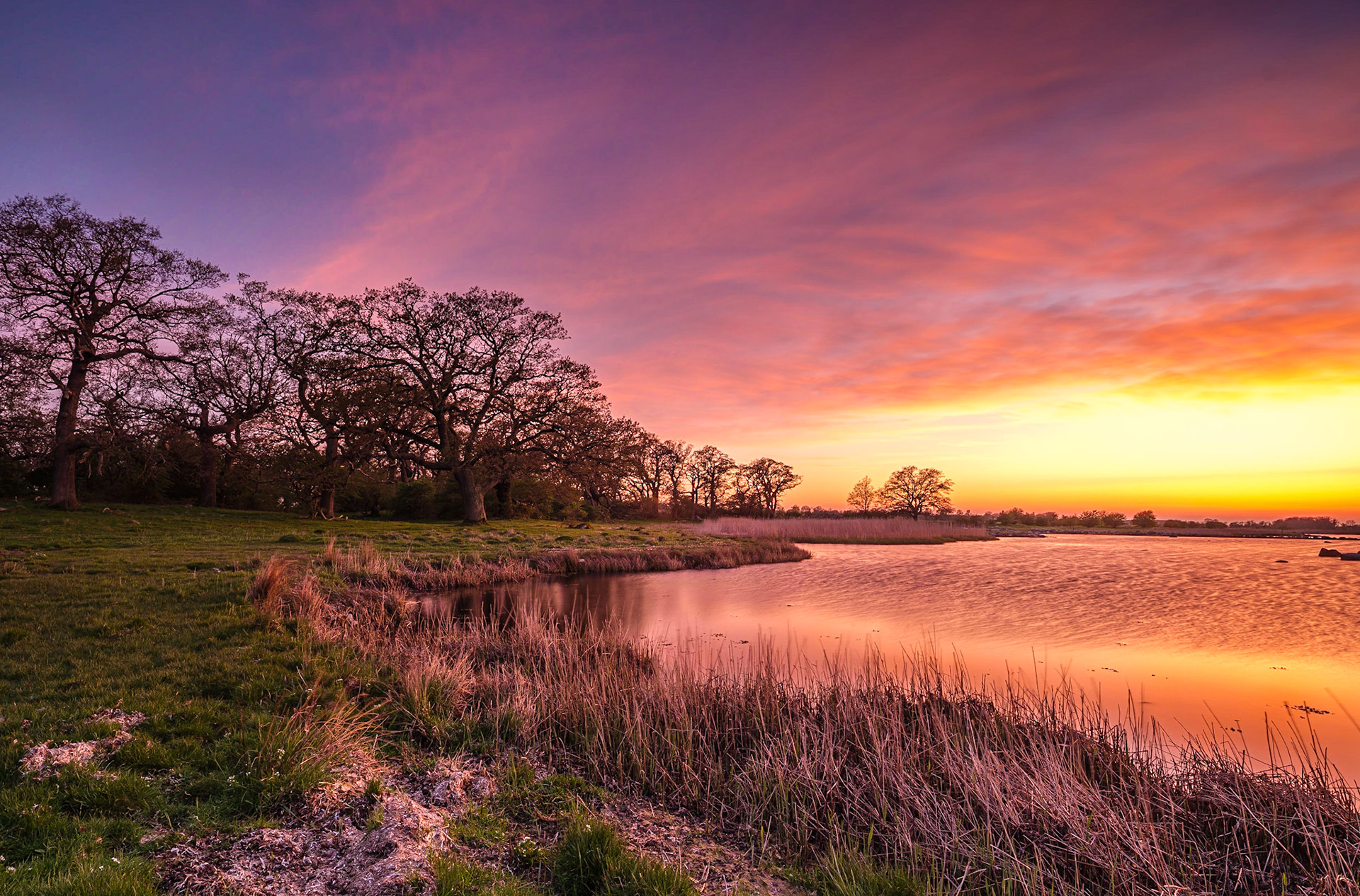 Skejten is a Danish is a nature reserve of national importance. Artists have been coming here for over 100 years to paint and photograph the old Oak Trees. In the National assembly hall of the "Folketing" there are two large, well-known Olaf Rude paintings of Skejten on either side of the door. Both panels express Danish impressionism and lolland nature.The name Skejten is an expression of uncertain, wobbling movement of the legs (feet) and suggests in this context that the place of the Middle Ages has been used for horse battles.The area has been voluntarily protected since 1917. It is a pretty part of the danish coastal landscape with huge old Oak Trees almost at the waterfront.