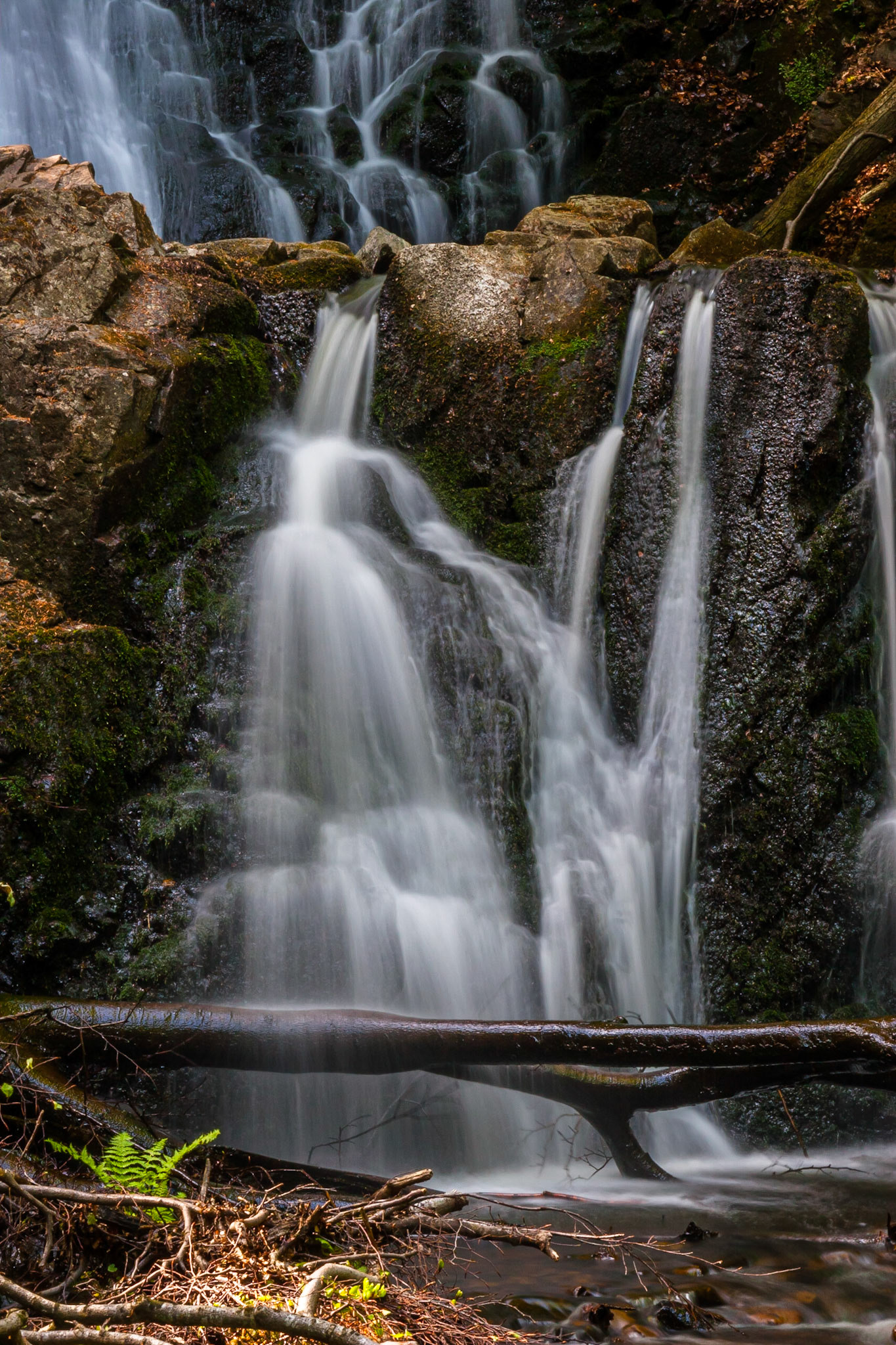Spingtime at Forsakar Waterfall, Skåne Sweden. Wonderfull place for a nice little easy walk