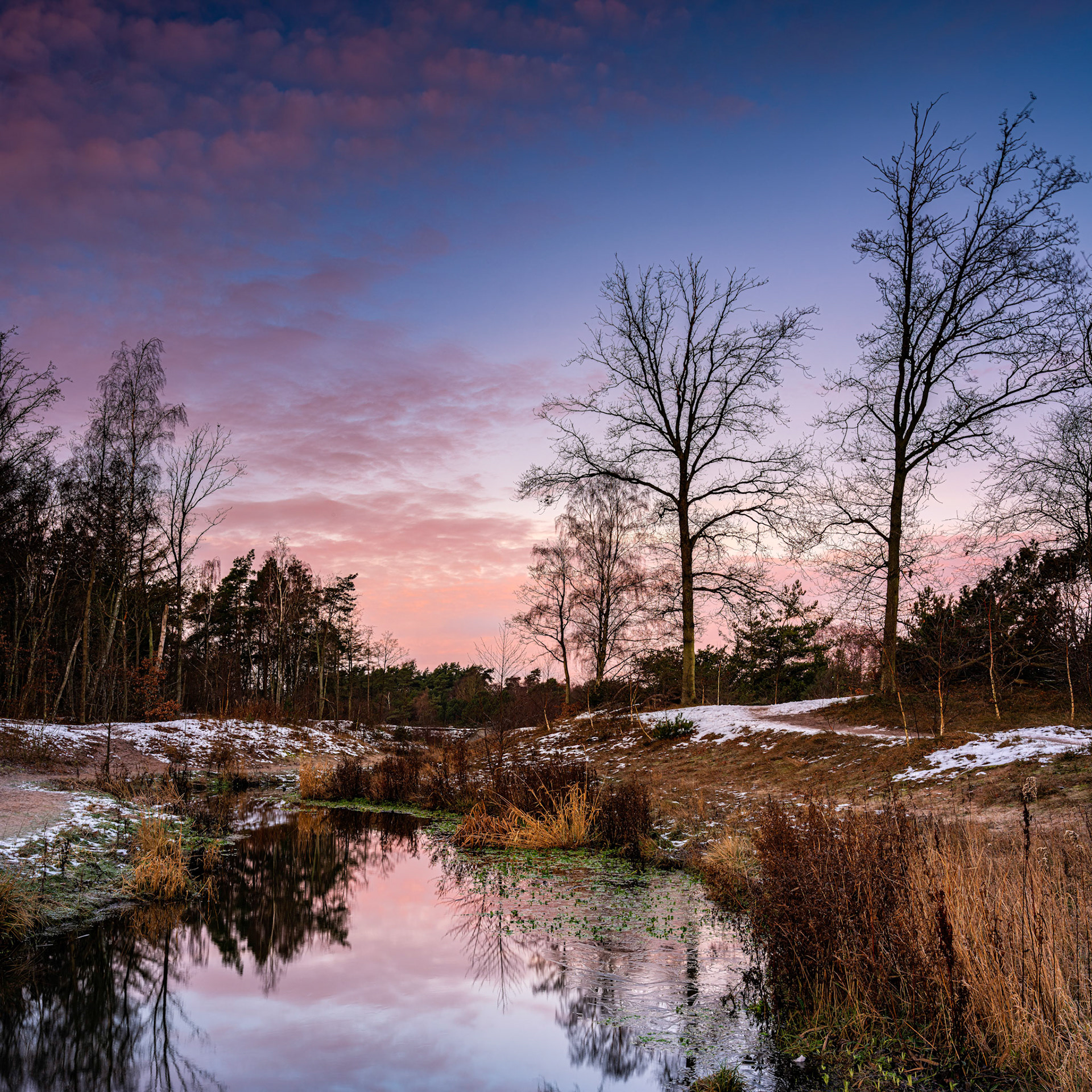 Love early mornings in winter time as I don't have to get up so early this time of year for the colors at sunrise 🙂 NiSi V6 with landscape CPL and 3 stop GND, Sirui R-4213X Tripod and Vallerret to keep the fingers warm.