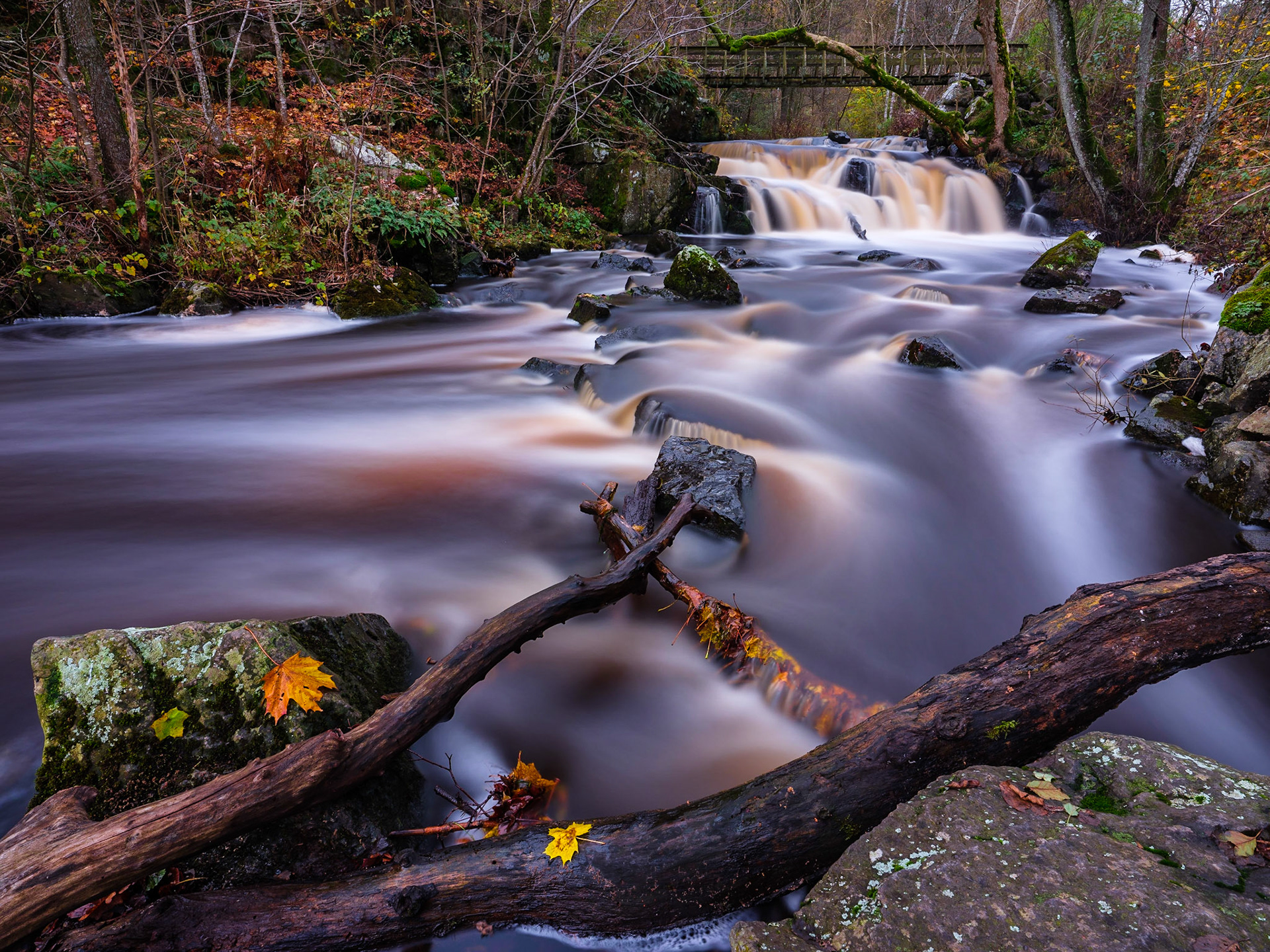 Skåne Rapids - 2017