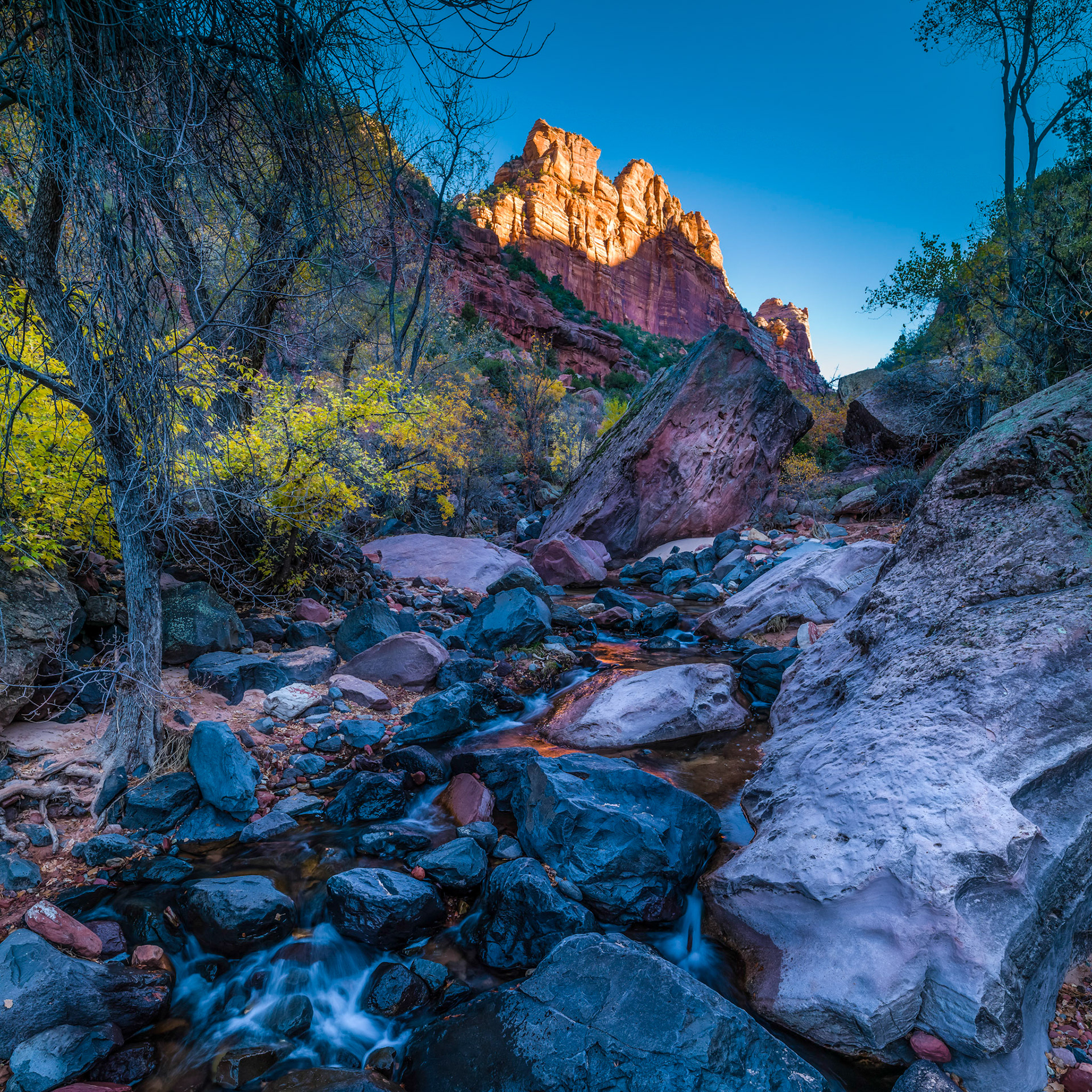 Sunrise Leftfork North Creek - Canyon to the subway.