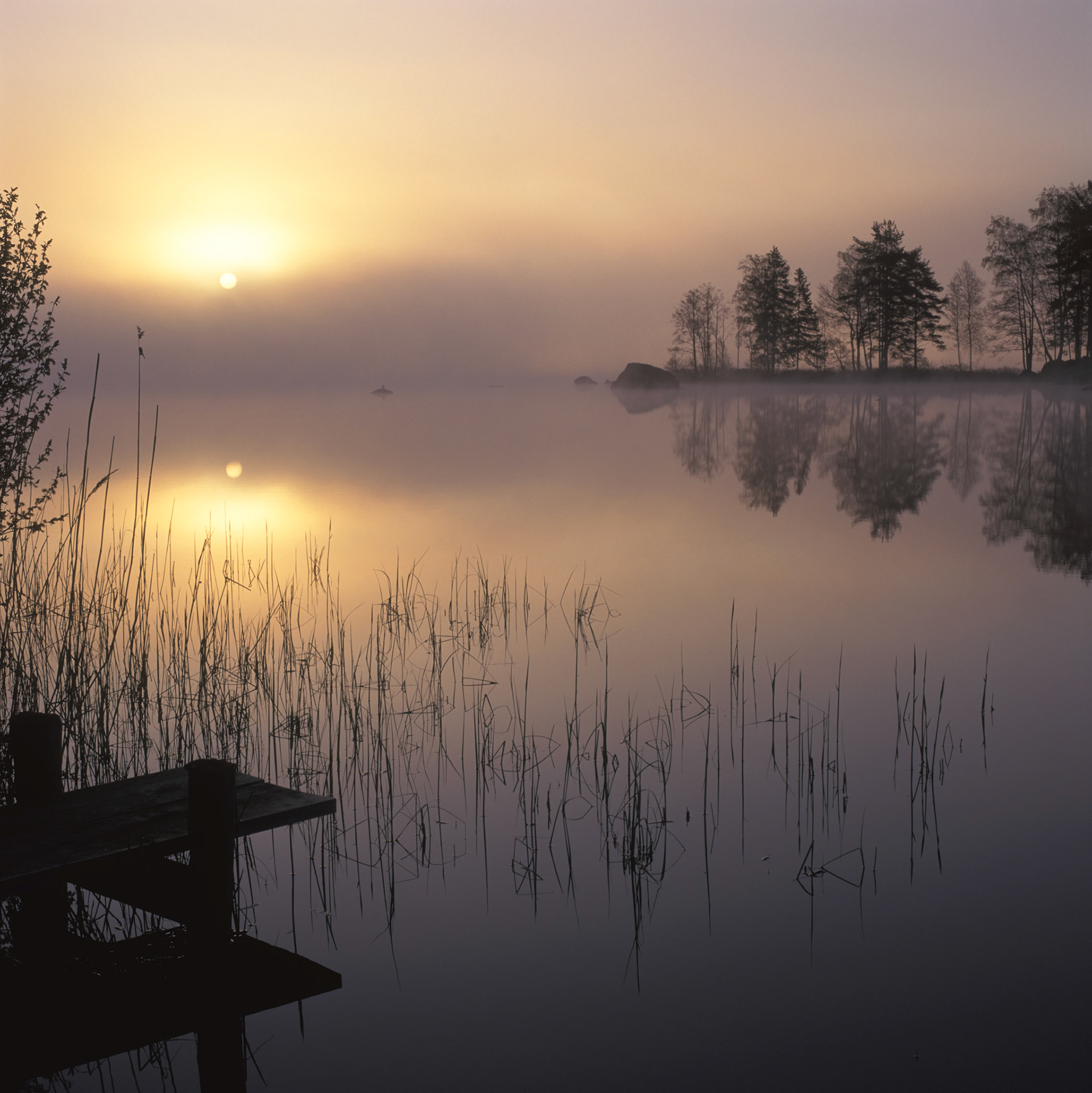 Early morning at the Hönshyltefjorden just outside Ryd, Småland