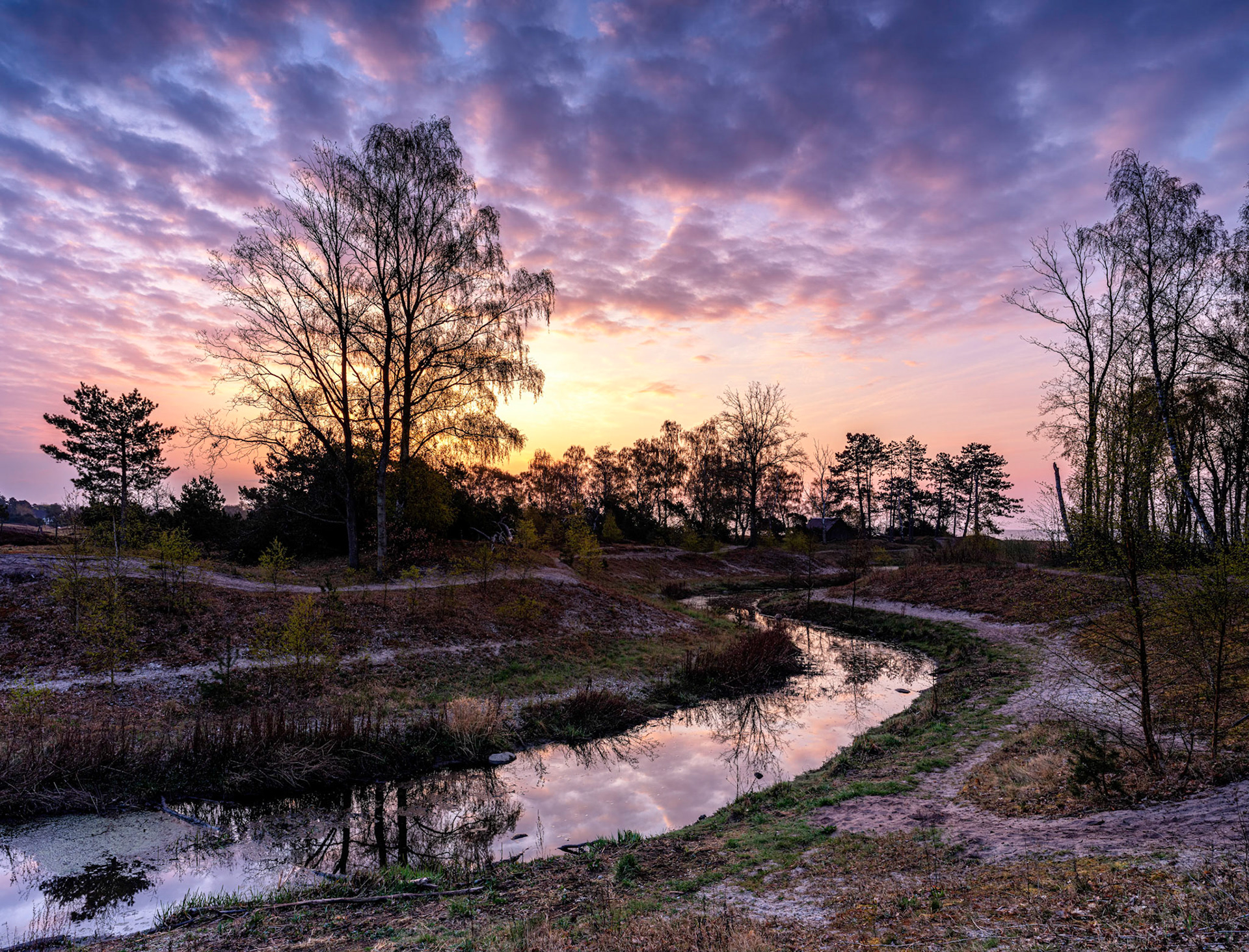 Trylleskoven Spring 2021 #1