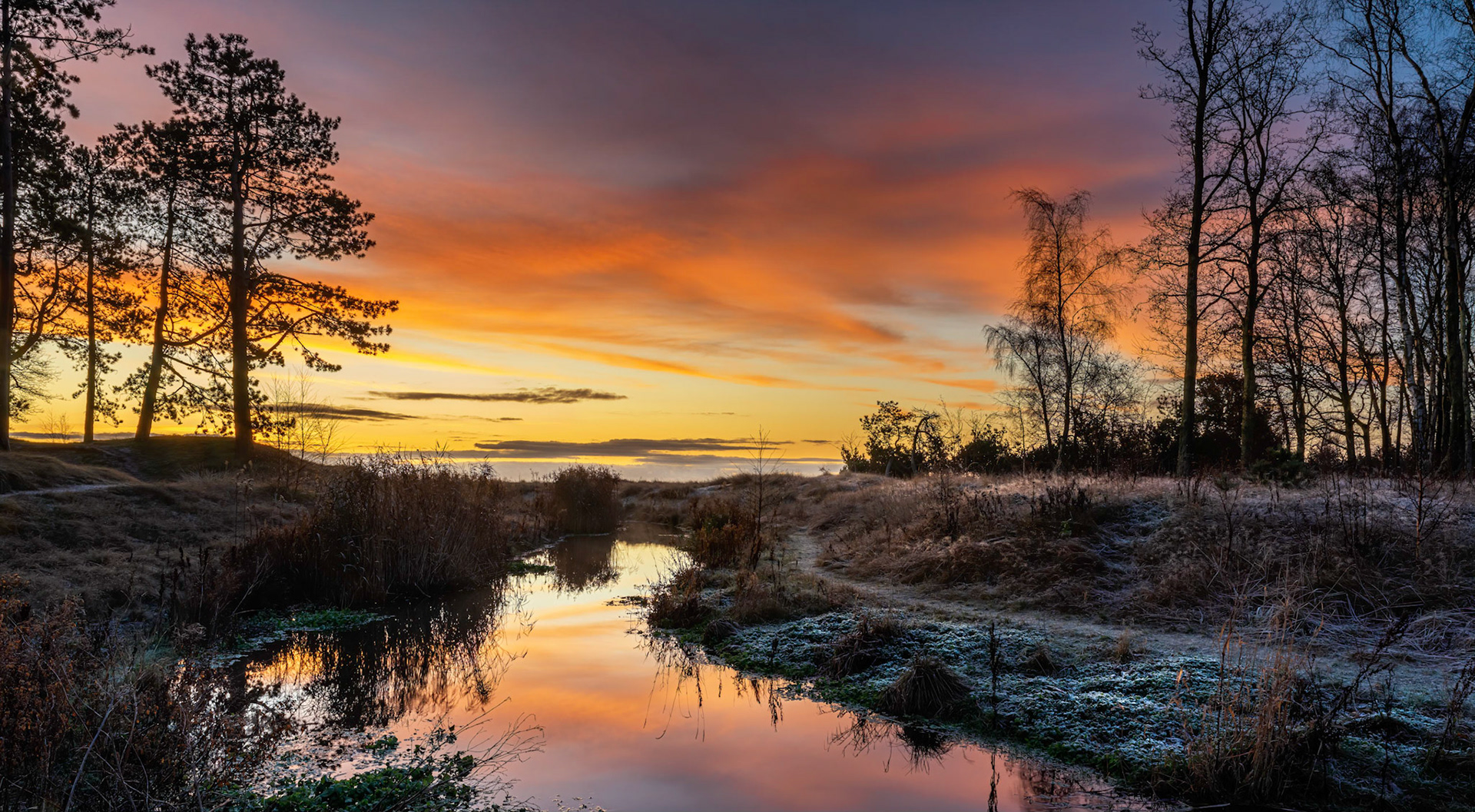 Early winter morning at the Magic Forrest (Trylleskoven).