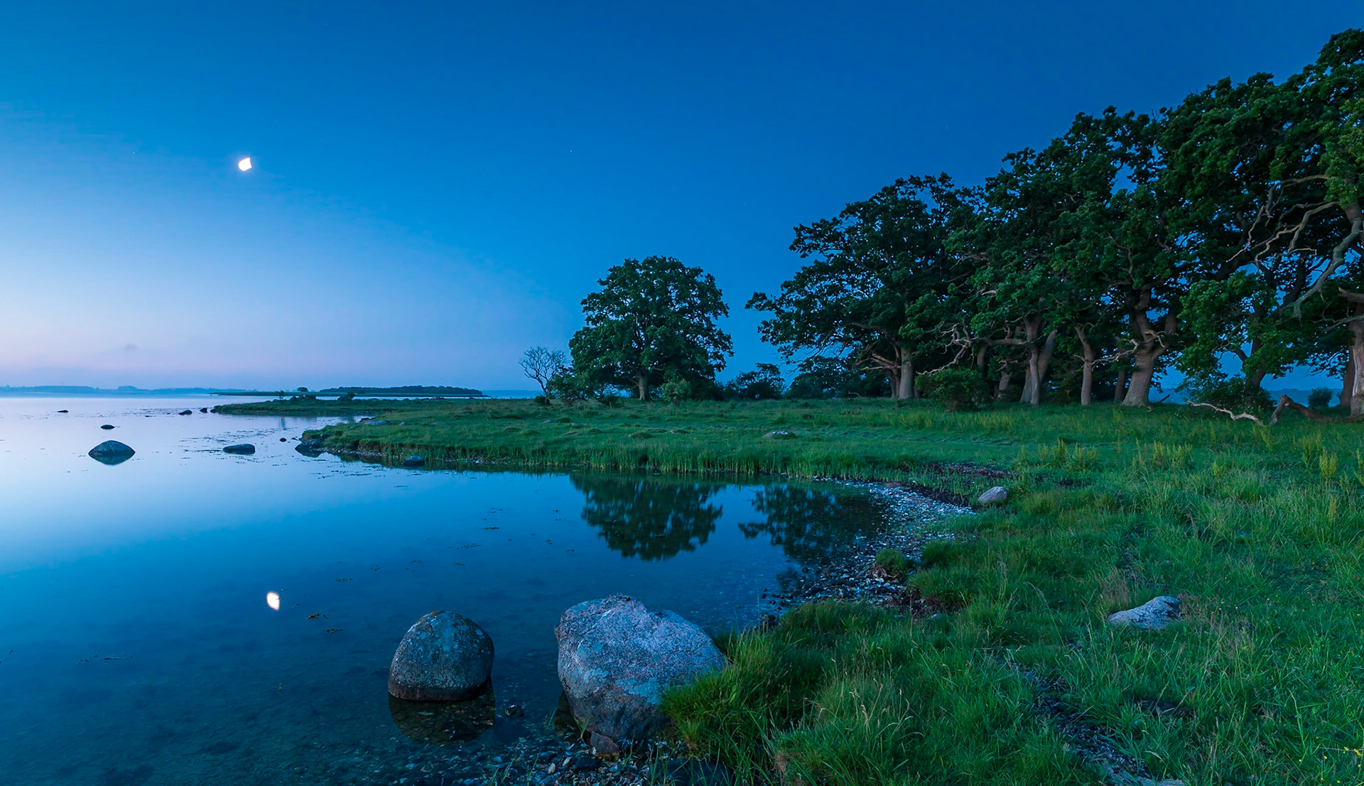 3:45 in the morning the blue hour light is fantastic at Skejten enhancing the famous Oak trees of the place.