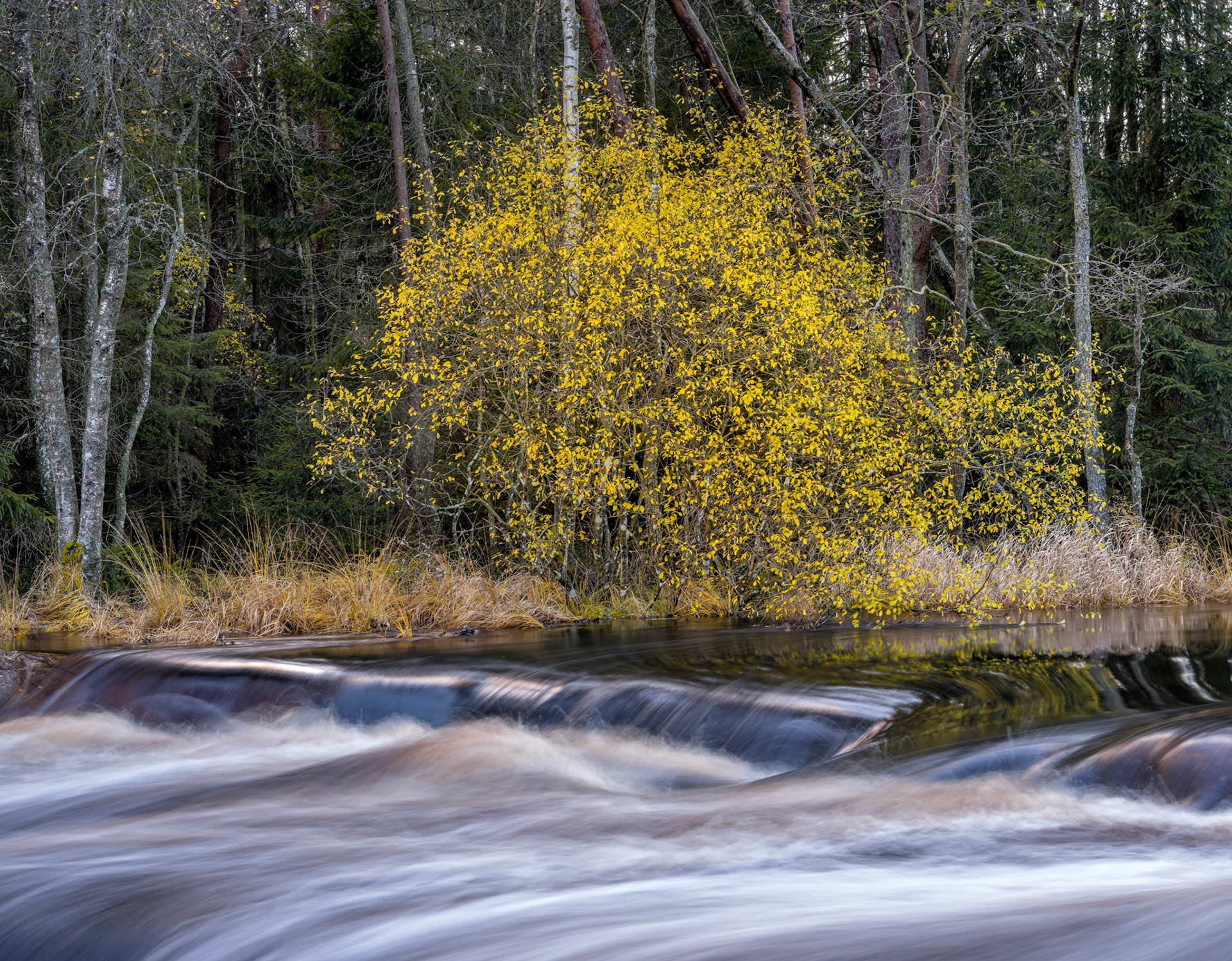 NiSi V7 Natural Color CPL