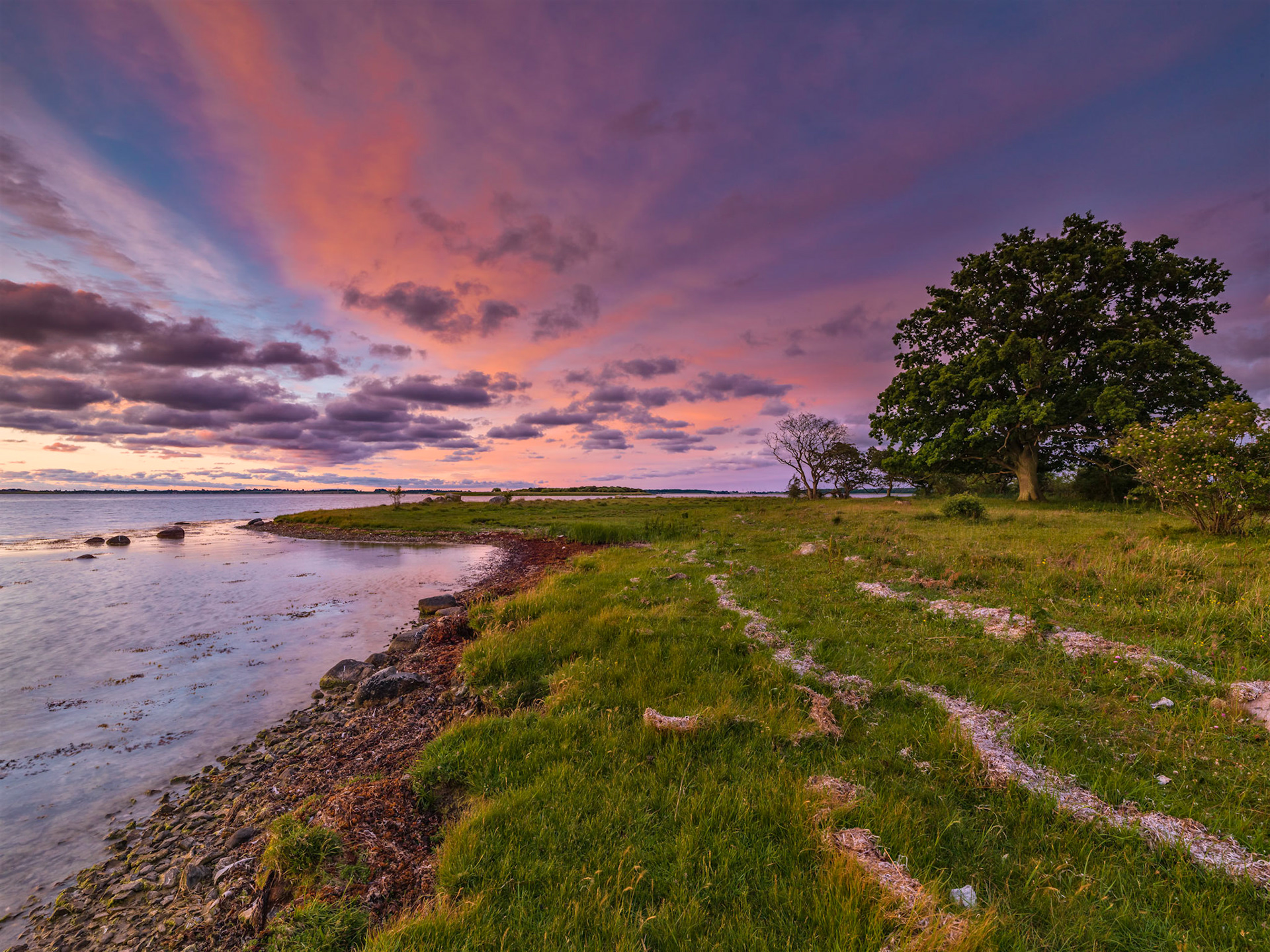 From an early morning visit to Skejten, landscape area which stood model to large paintings in the Danish Parliament of strong and steasdfast Oak Trees.