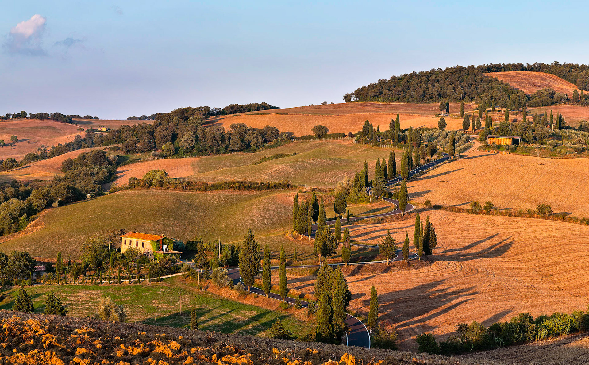 Late afternoon light