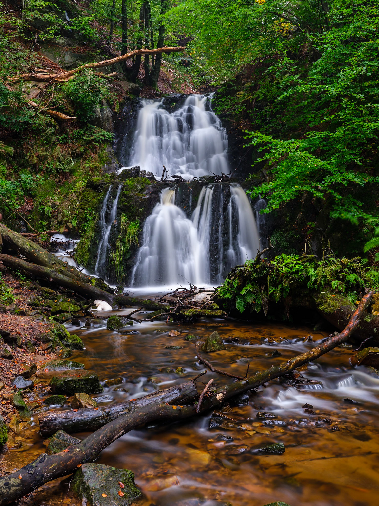 Returning to a favorite spot feels good.