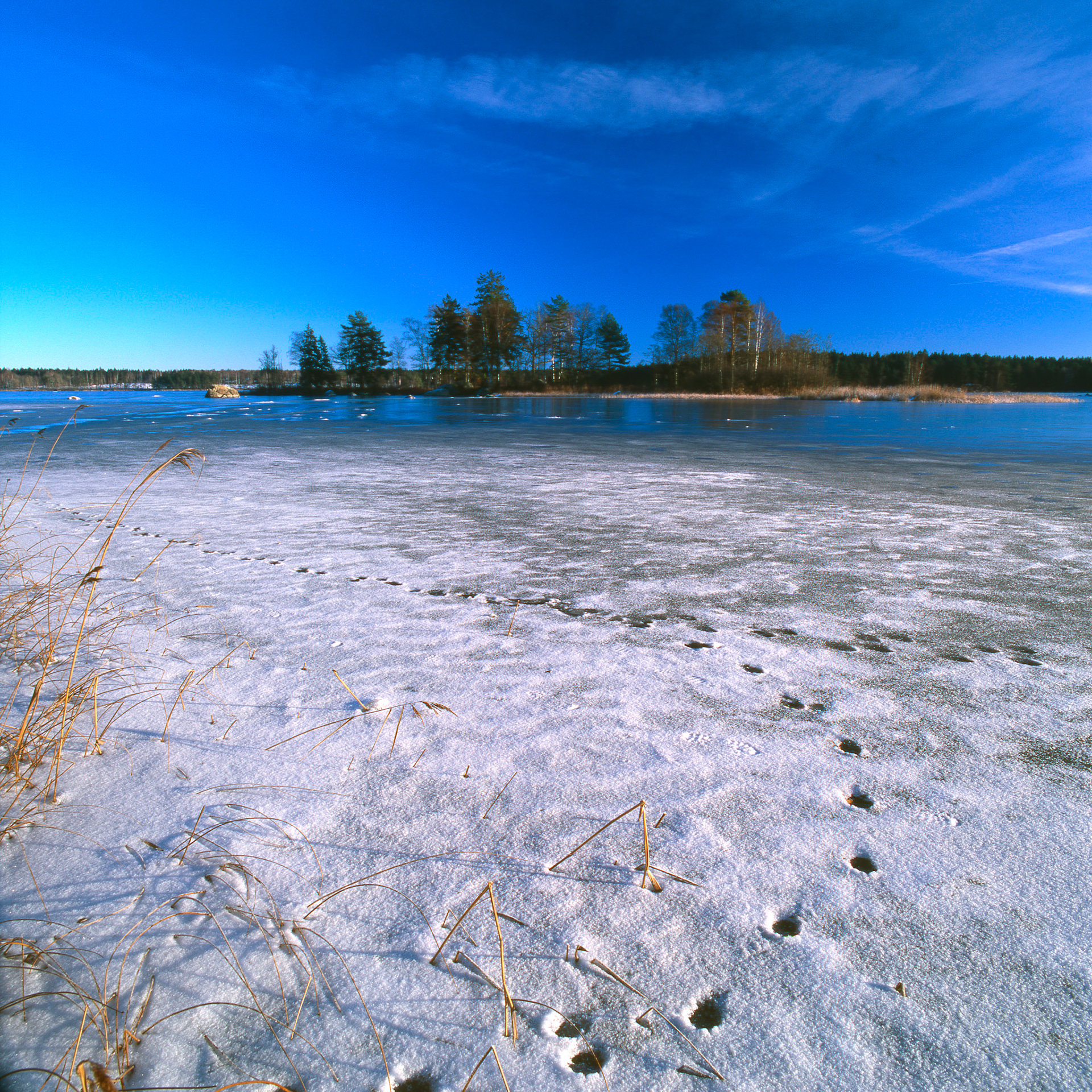 Partial view of Hönshyltefjorden outside Ryd, Småland, Sweden